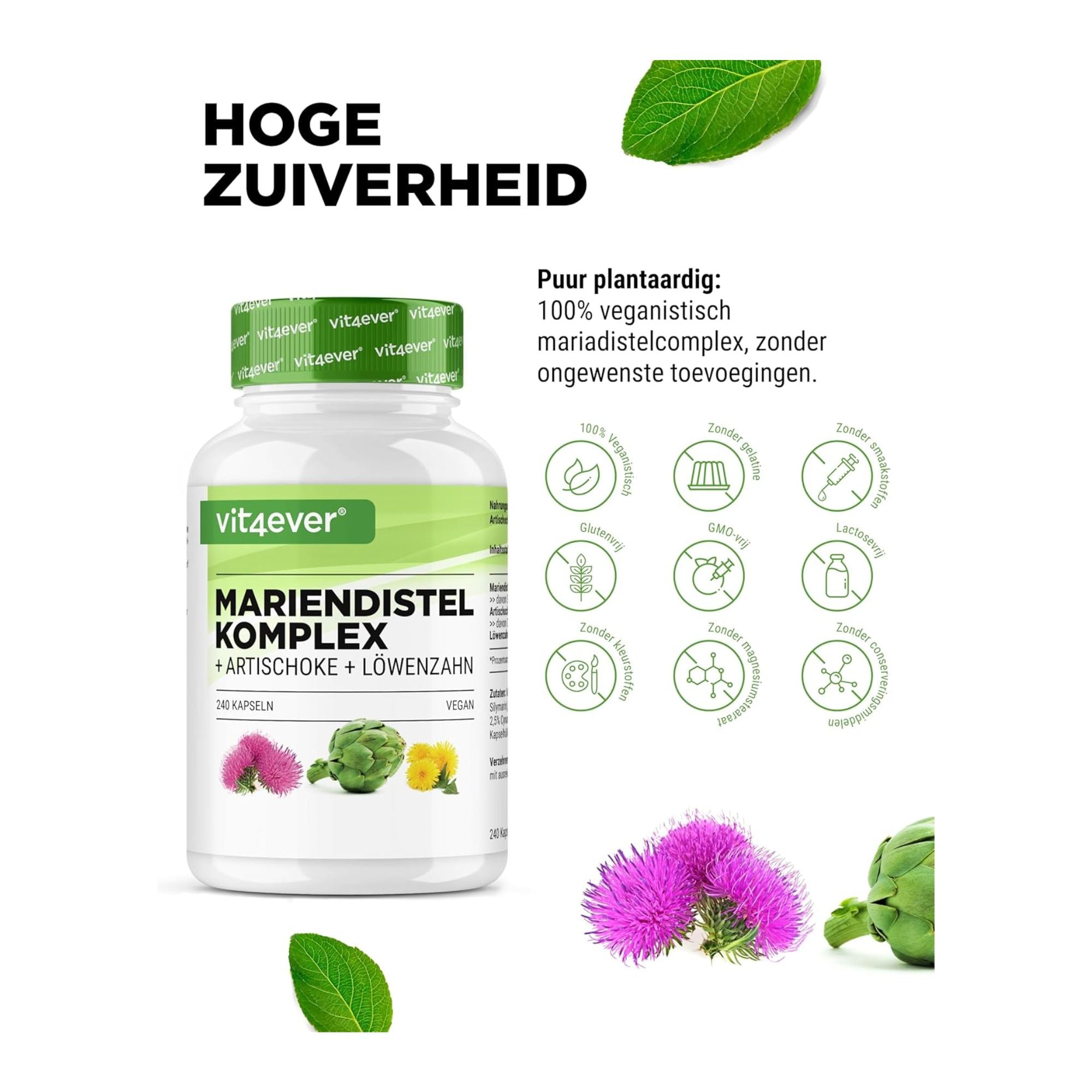 Mariadistel artisjok paardenbloem complex