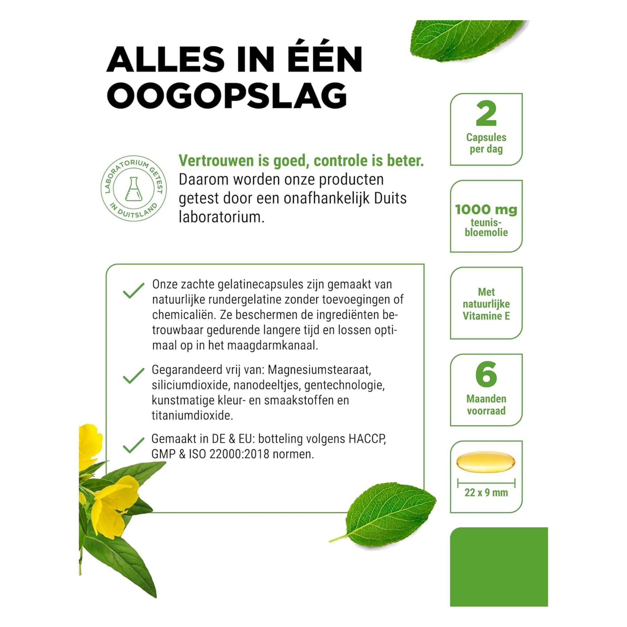 vit4ever teunisbloemolie