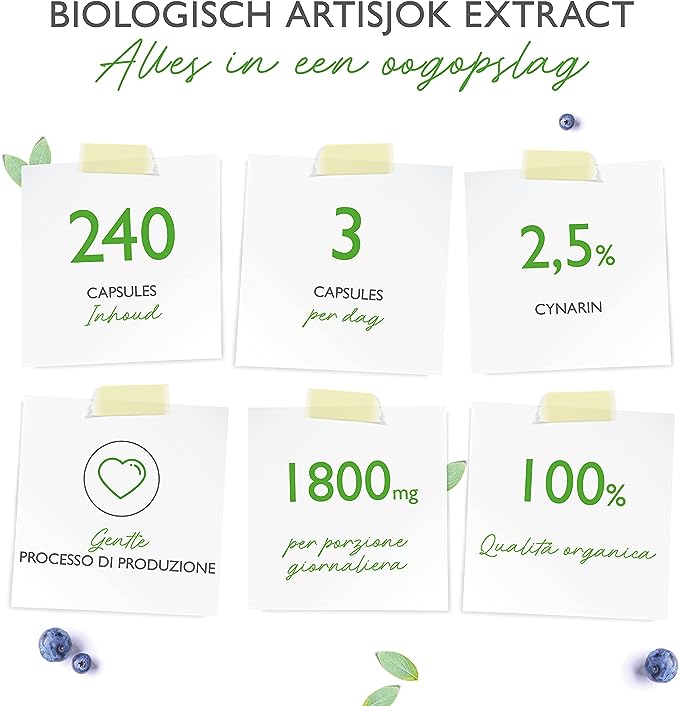 Artisjokextract | 240 capsules | Vegan | 6000mg | Vit4ever