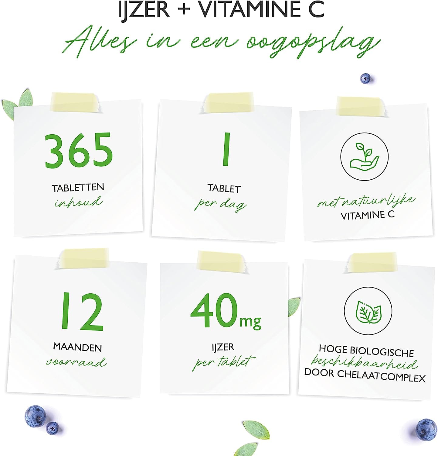 ijzer vitamine c combinantie