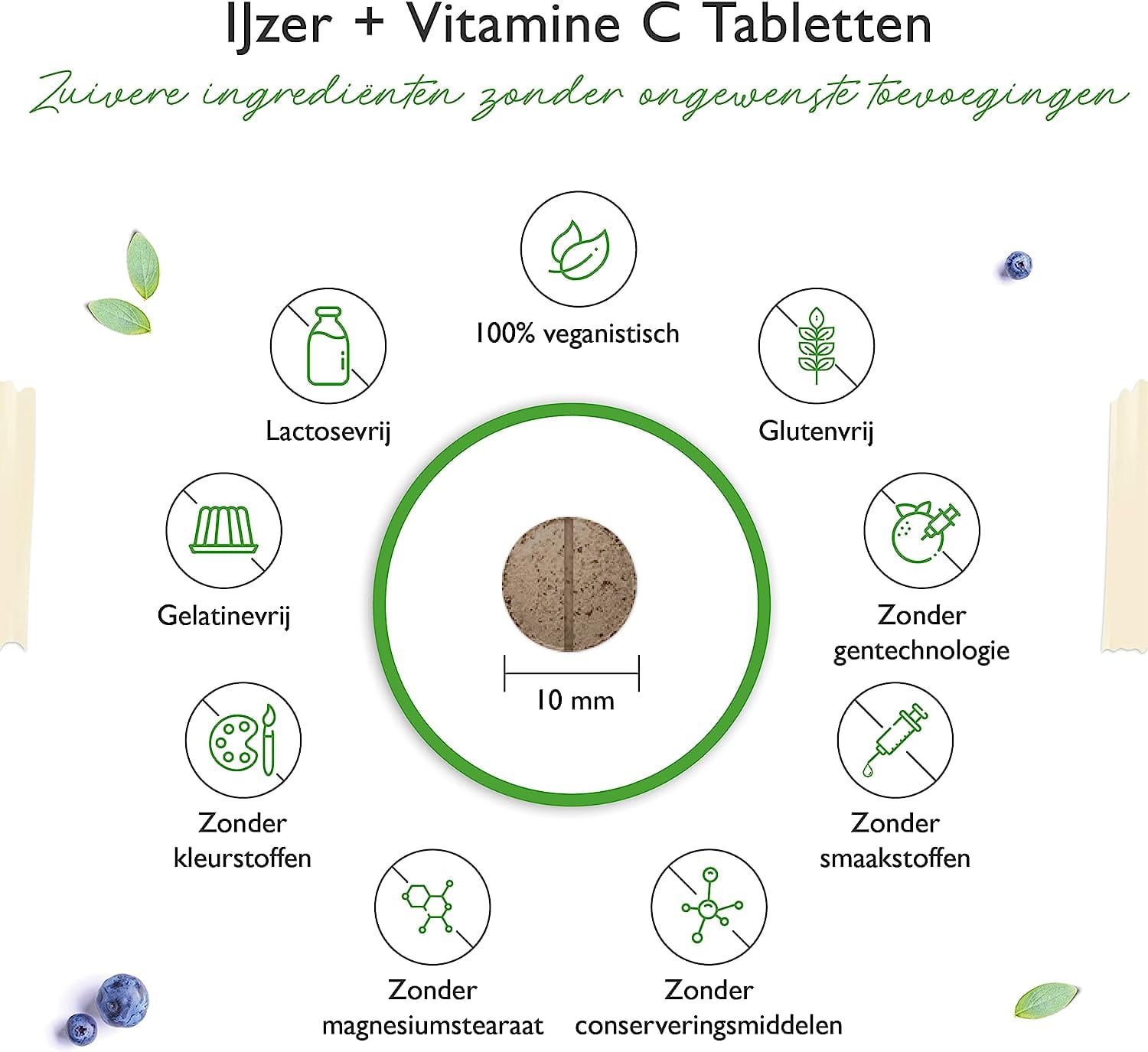 vegan ijzer supplement