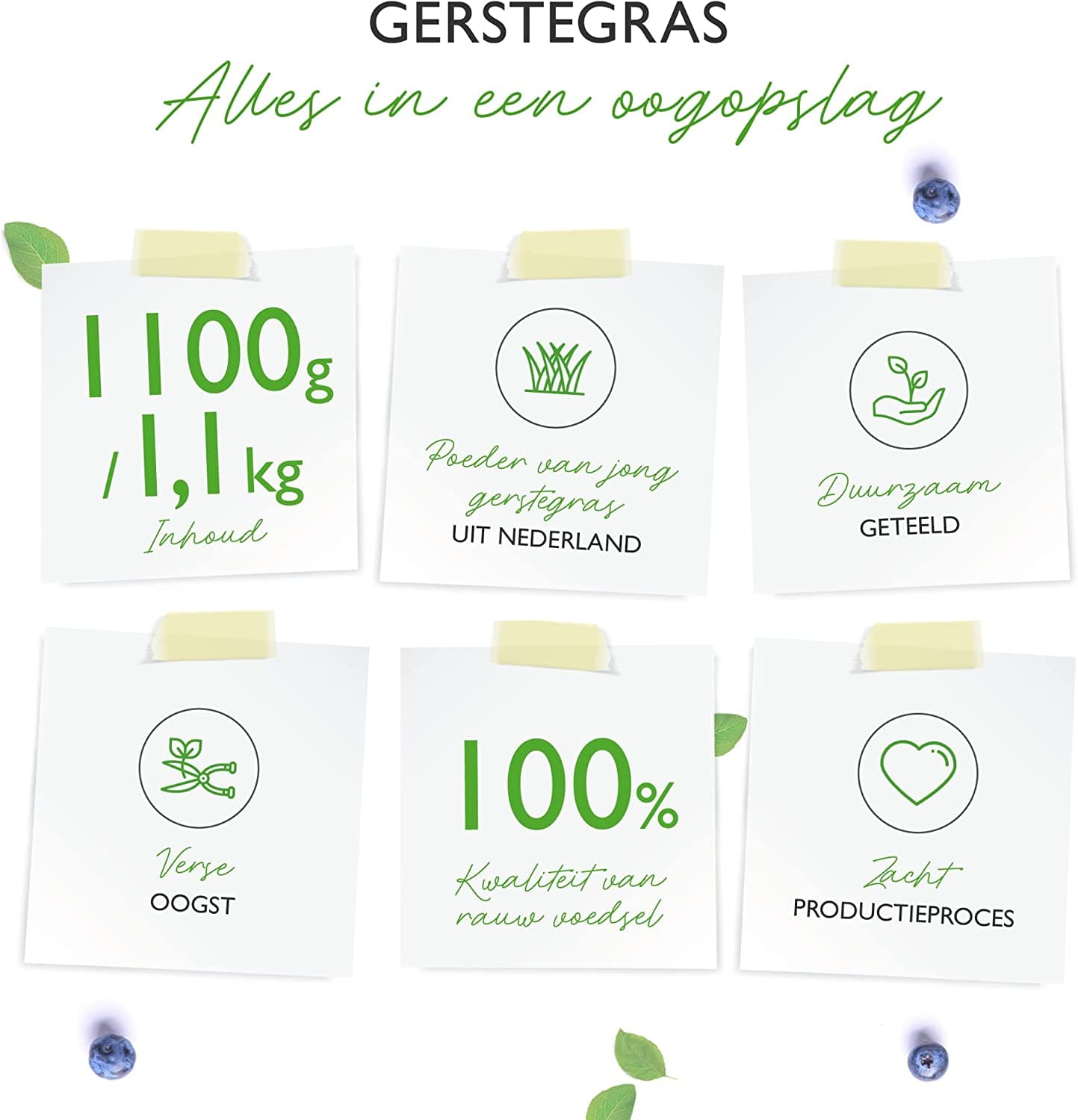 Vit4ever Gerstegras - 1100 g (1,1 kg) - Jong gerstegraspoeder - Herkomst Nederland - Rijk aan mineralen & vitaminen