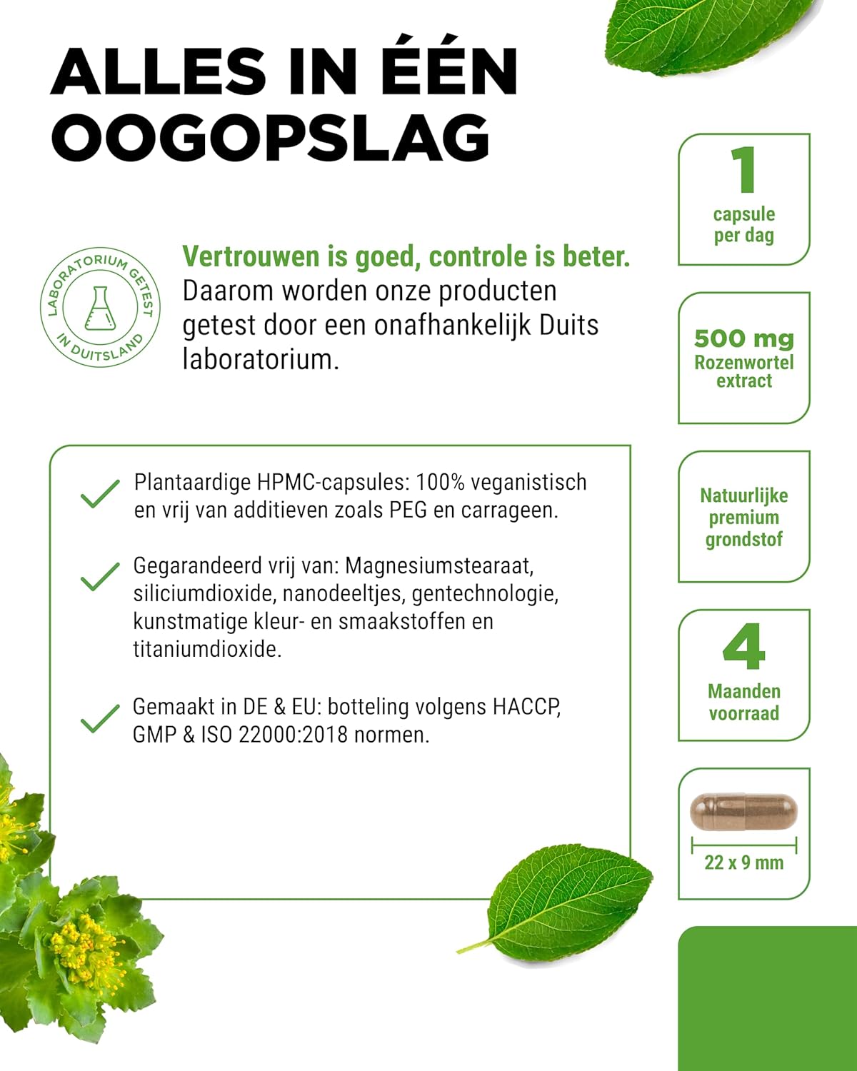 Rhodiola Rosea Extract 500mg | 120 Capsules | Vit4ever