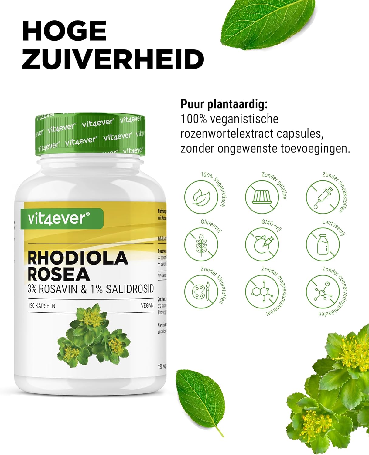 Rhodiola Rosea Extract 500mg | 120 Capsules | Vit4ever