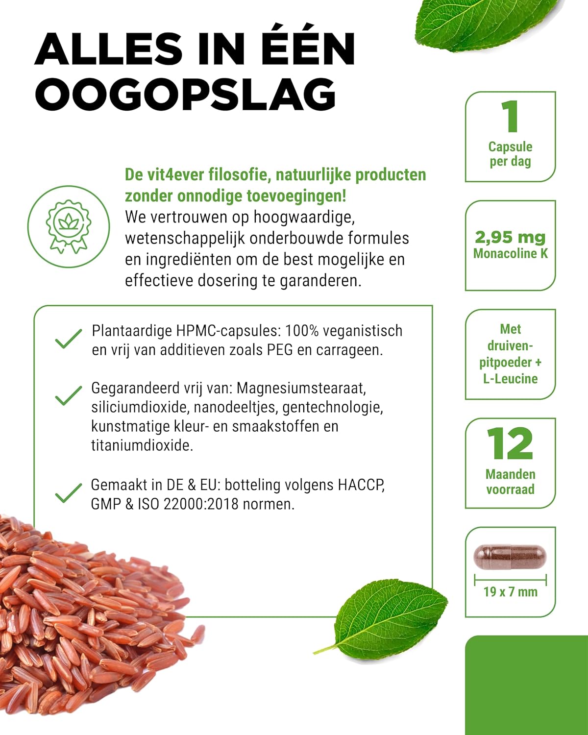 Rode rijstextract | 2,95 mg Monacolin K | 240 capsules | Vit4ever