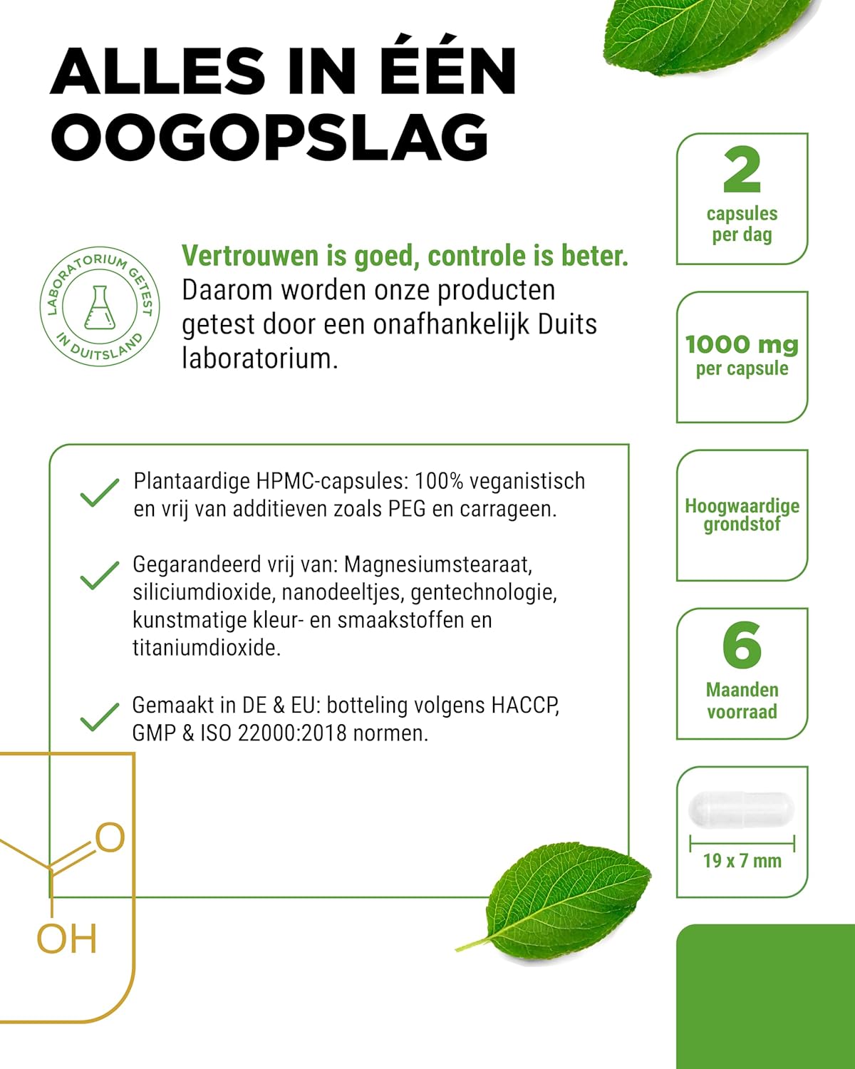 Glycine 2000mg | 365 capsules | Vit4ever