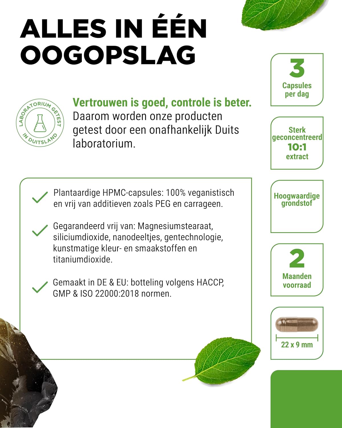 Shilajit Mumijo Extract 1500mg | 180 Capsules | Vit4ever