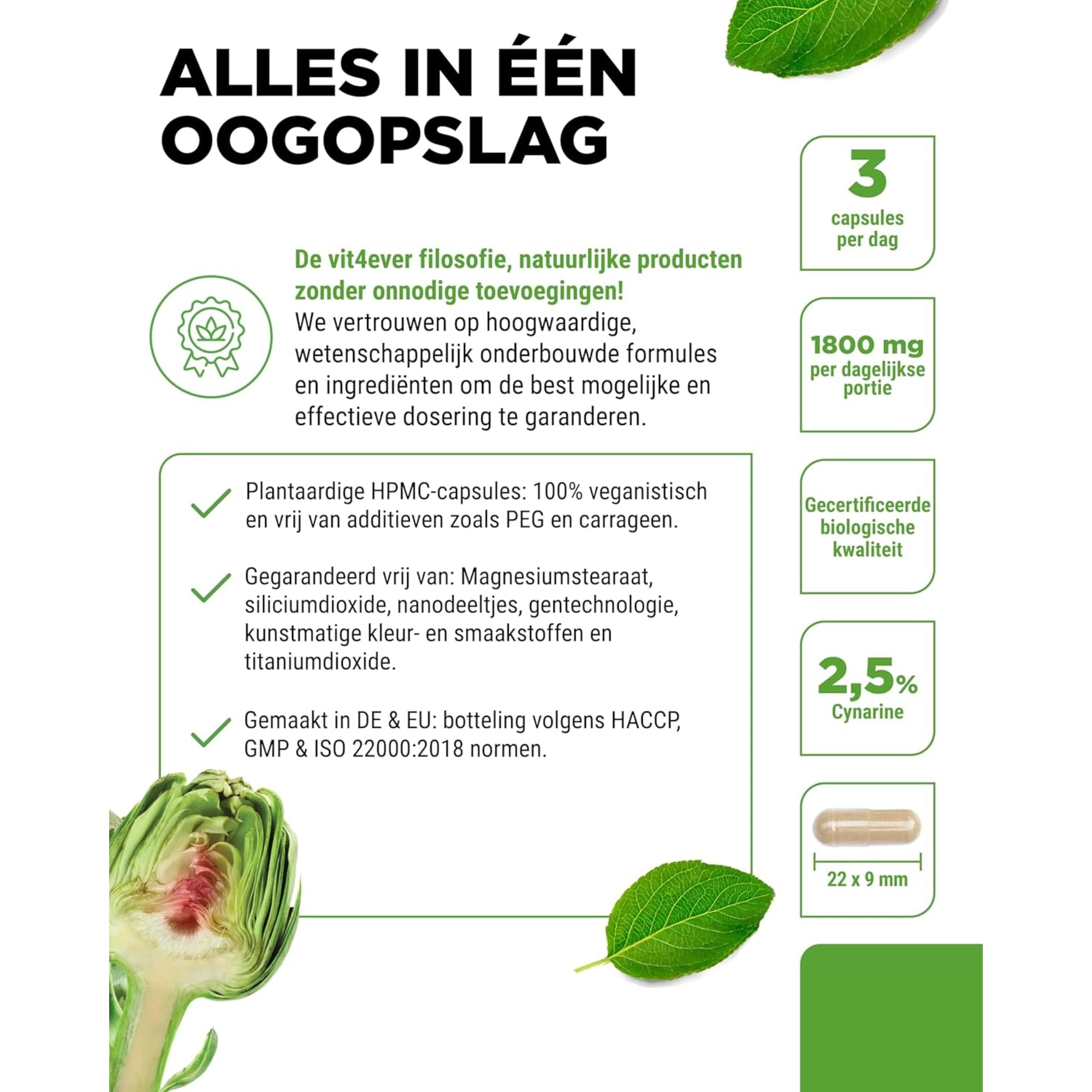 Artisjokextract | 240 capsules | Vit4ever