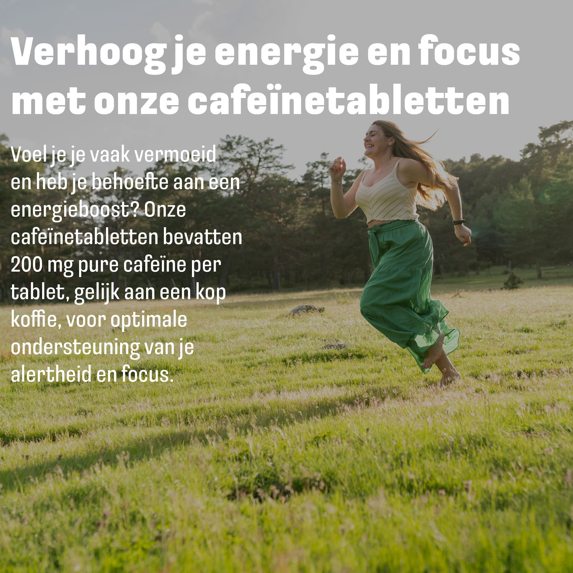 Cafeïne tabletten 250mg | 200 tabletten | LUTO Supplements