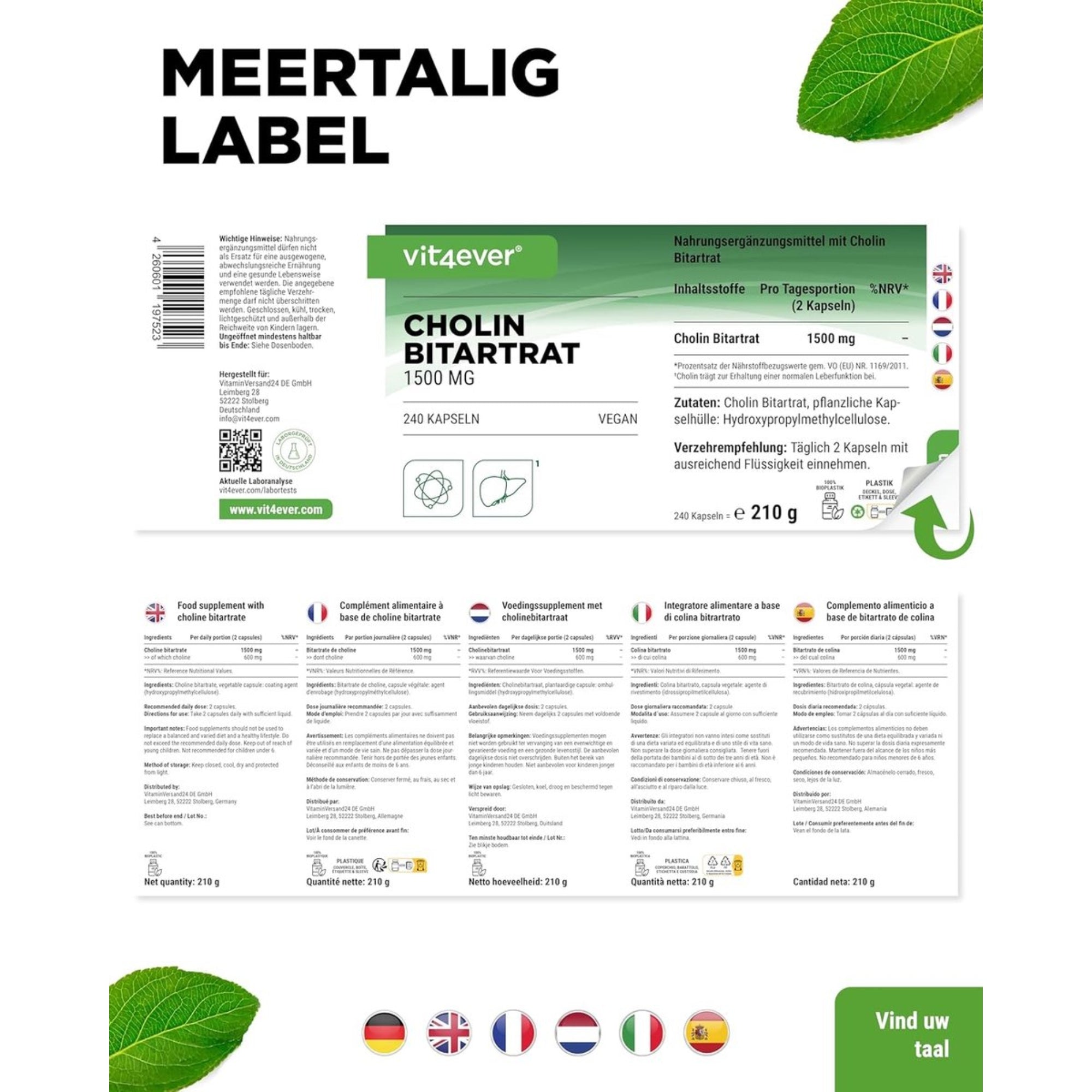 Choline Bitartraat 750mg | 240 Capsules | Vit4ever