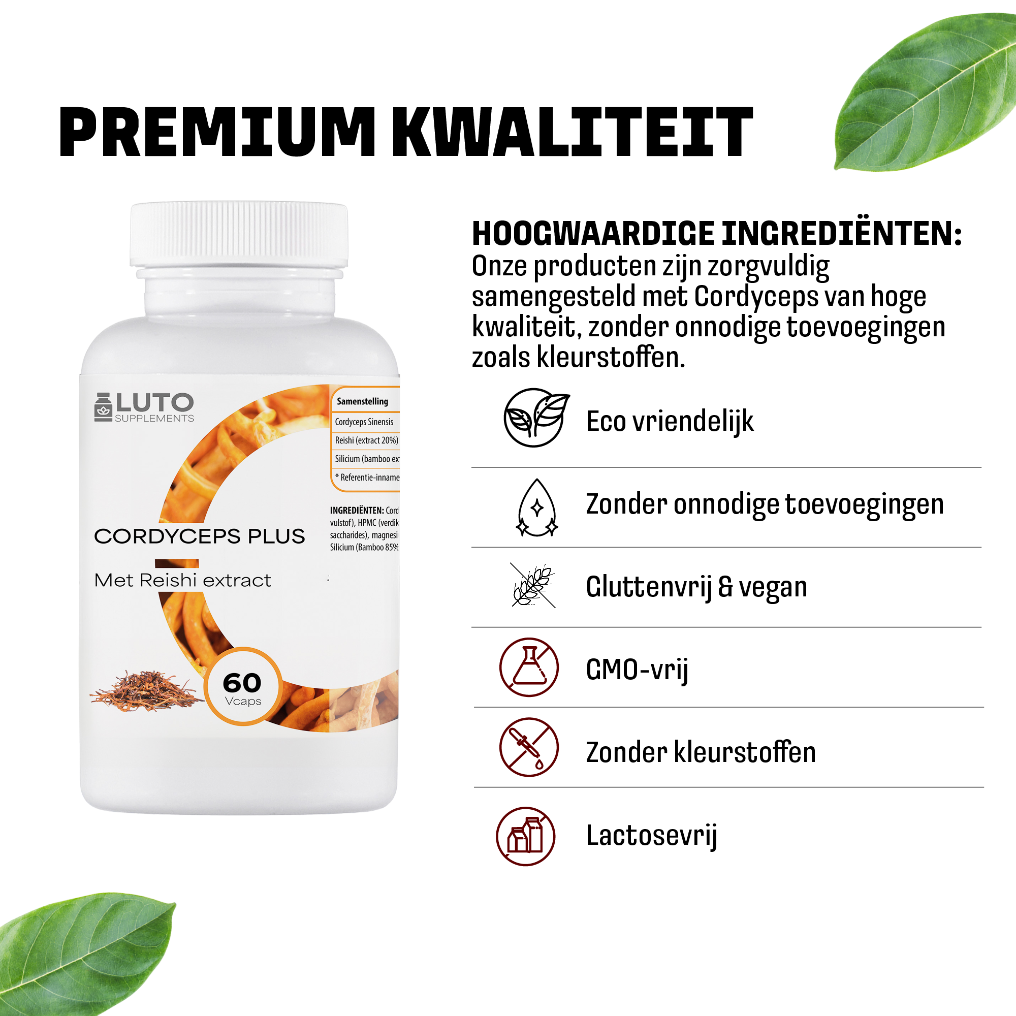 Cordyceps Plus (Met Reishi Extract) | 60 capsules | LUTO Supplements