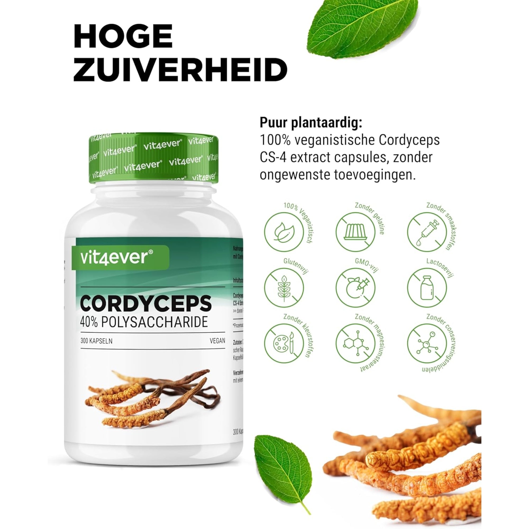 Cordyceps Sinensis CS-4 (40% polysachariden) | 180 of 300 capsules | Vit4ever