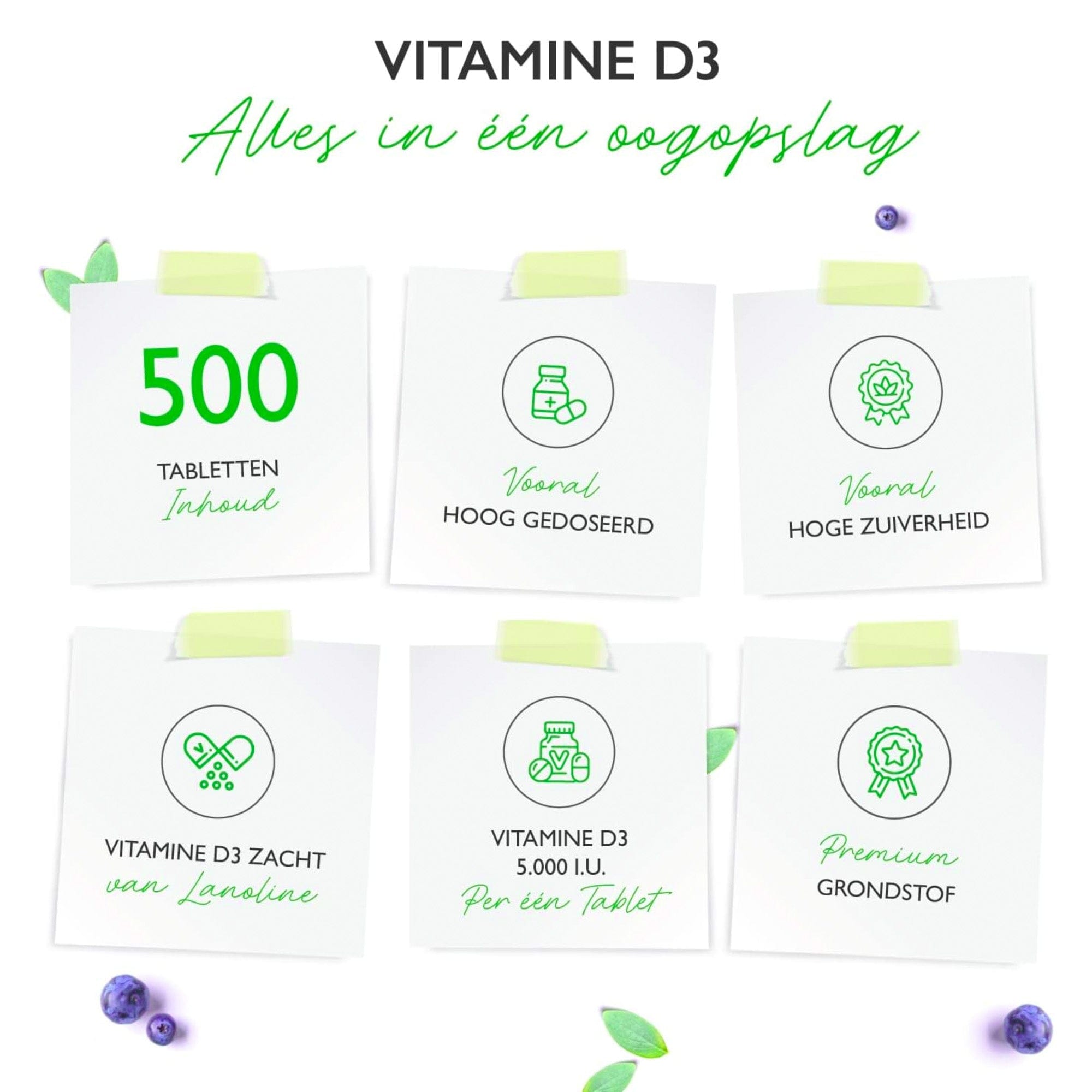 Vitamine D3 5.000IE | 5.000 I.E. | 500 tabletten | vit4ever