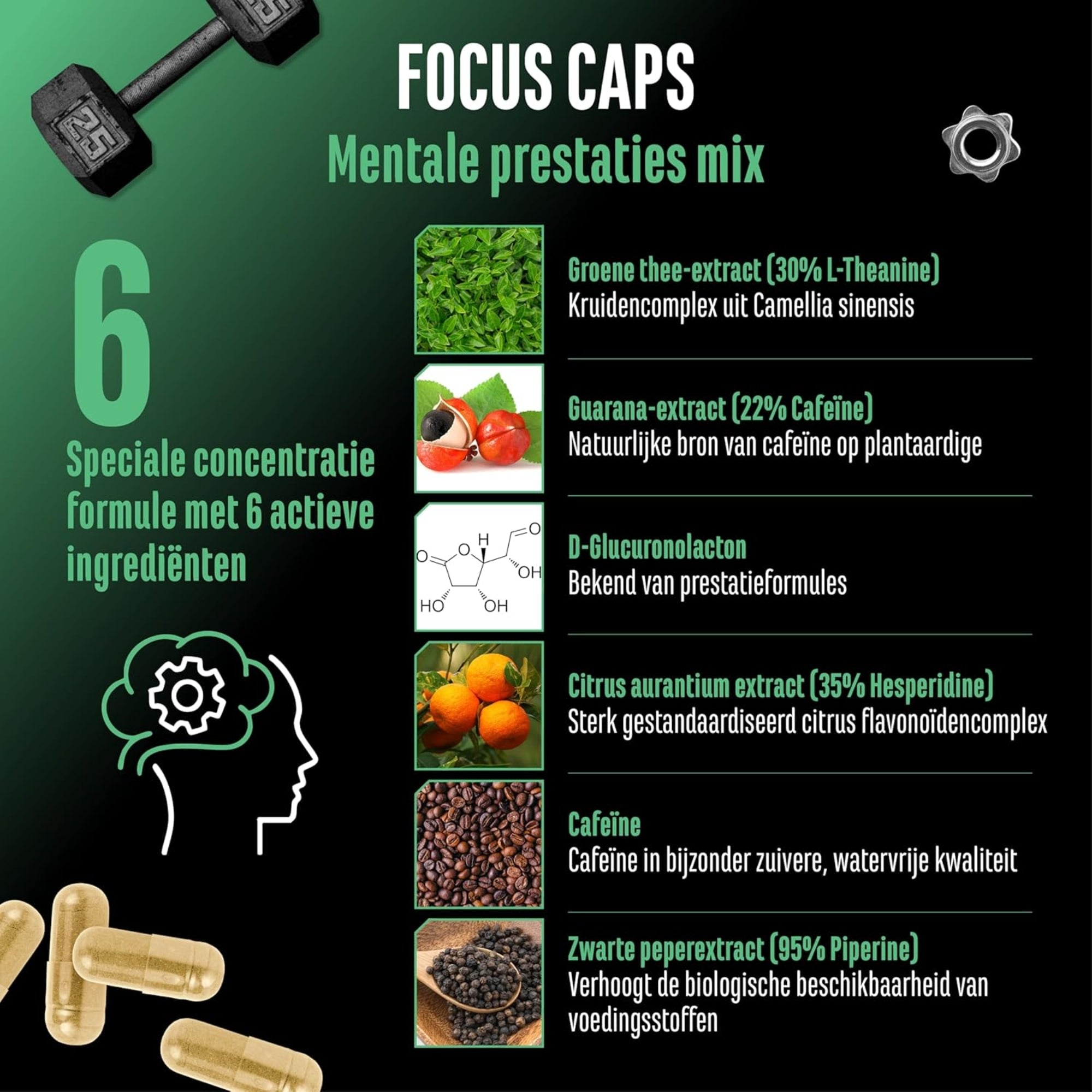 Focus Caps (Mental Performance Blend) 320mg cafeïne | 120 capsules | German Elite Nutrition