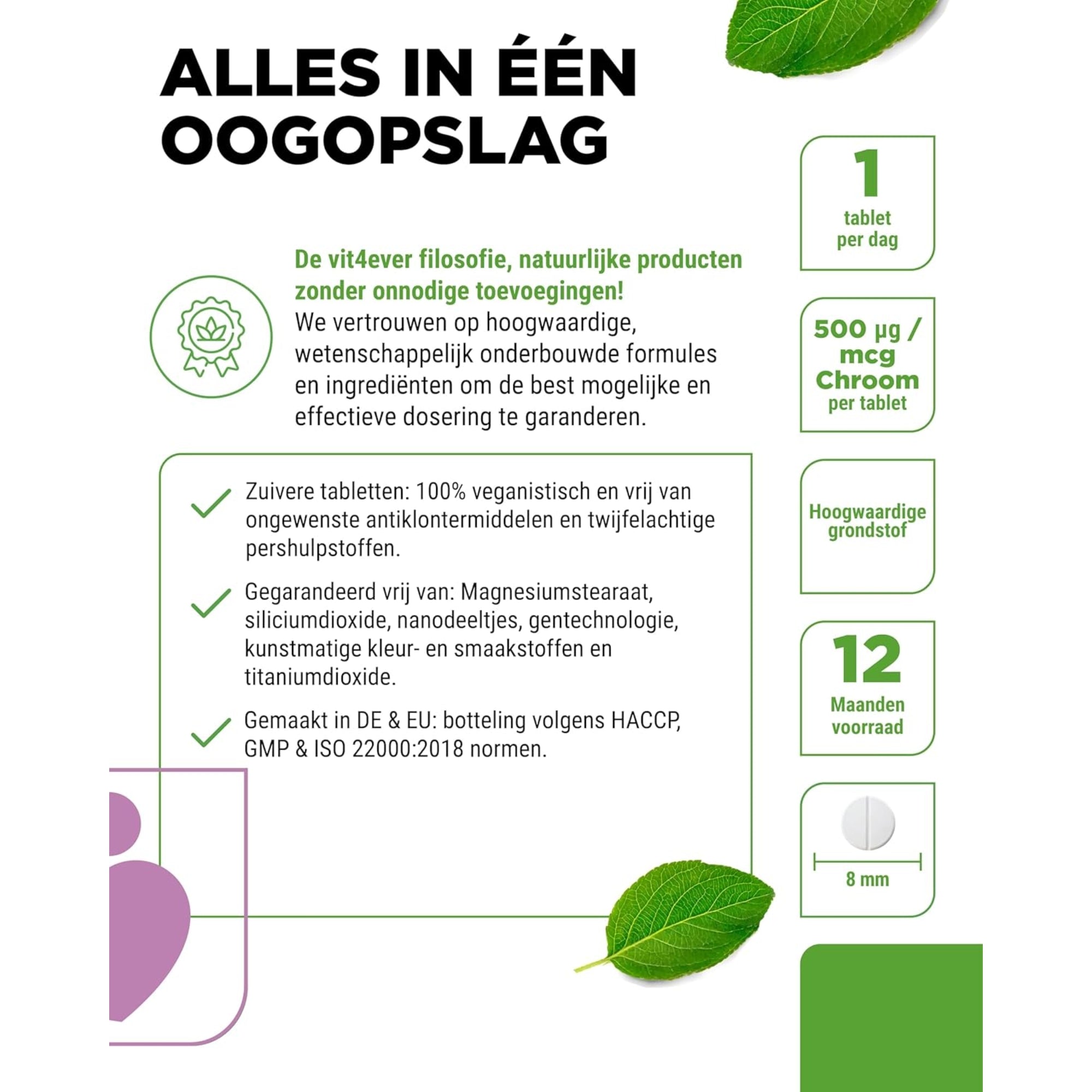 Foliumzuur 400 mcg | 365 Tabletten | Vit4ever