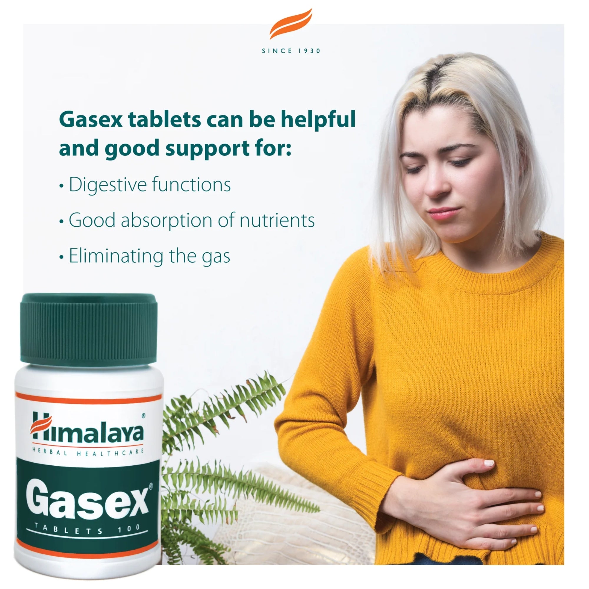 Gasex | 100 tabletten | Himalaya