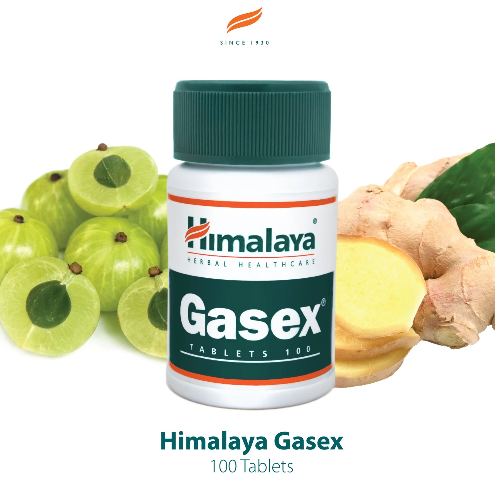 Gasex | 100 tabletten | Himalaya