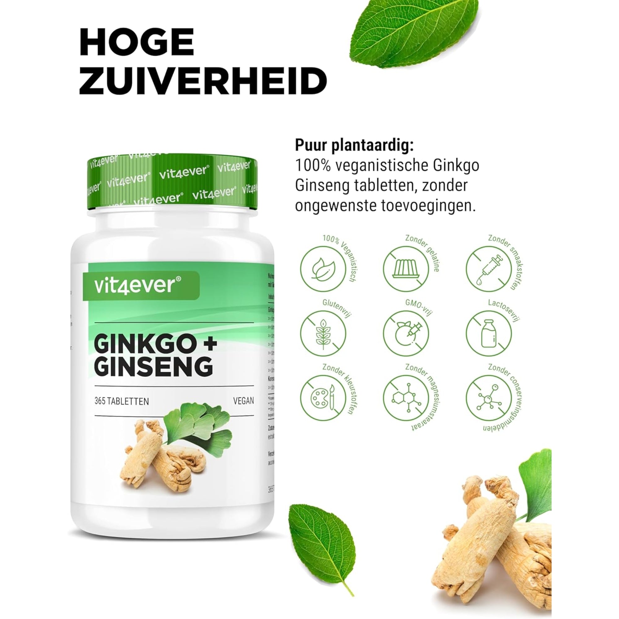 Ginkgo + Ginseng extract 50:1 | 365 tabletten | Vit4ever