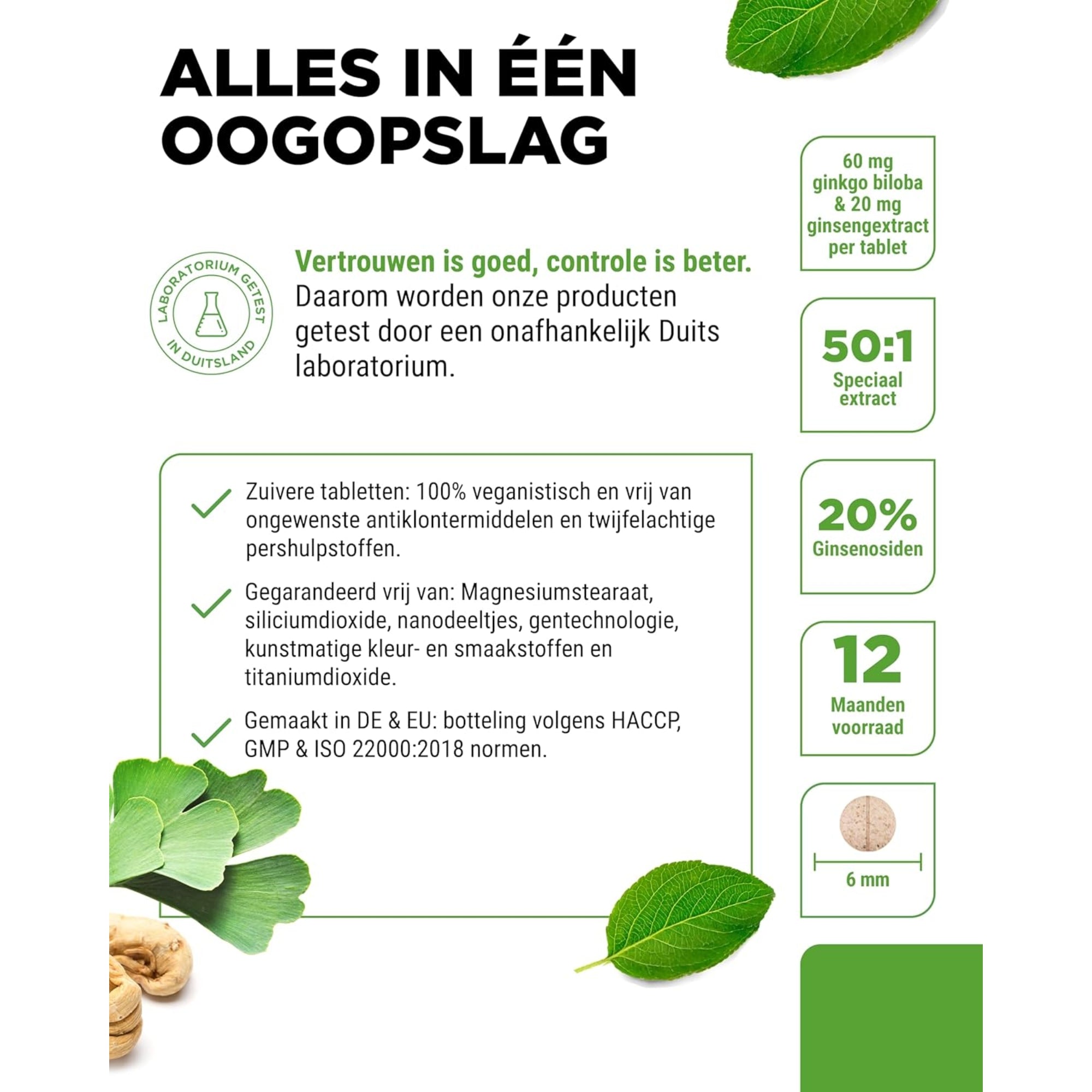 Ginkgo + Ginseng extract 50:1 | 365 tabletten | Vit4ever