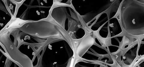 Hydrogel-Technologie – Innovatie in sportvoeding