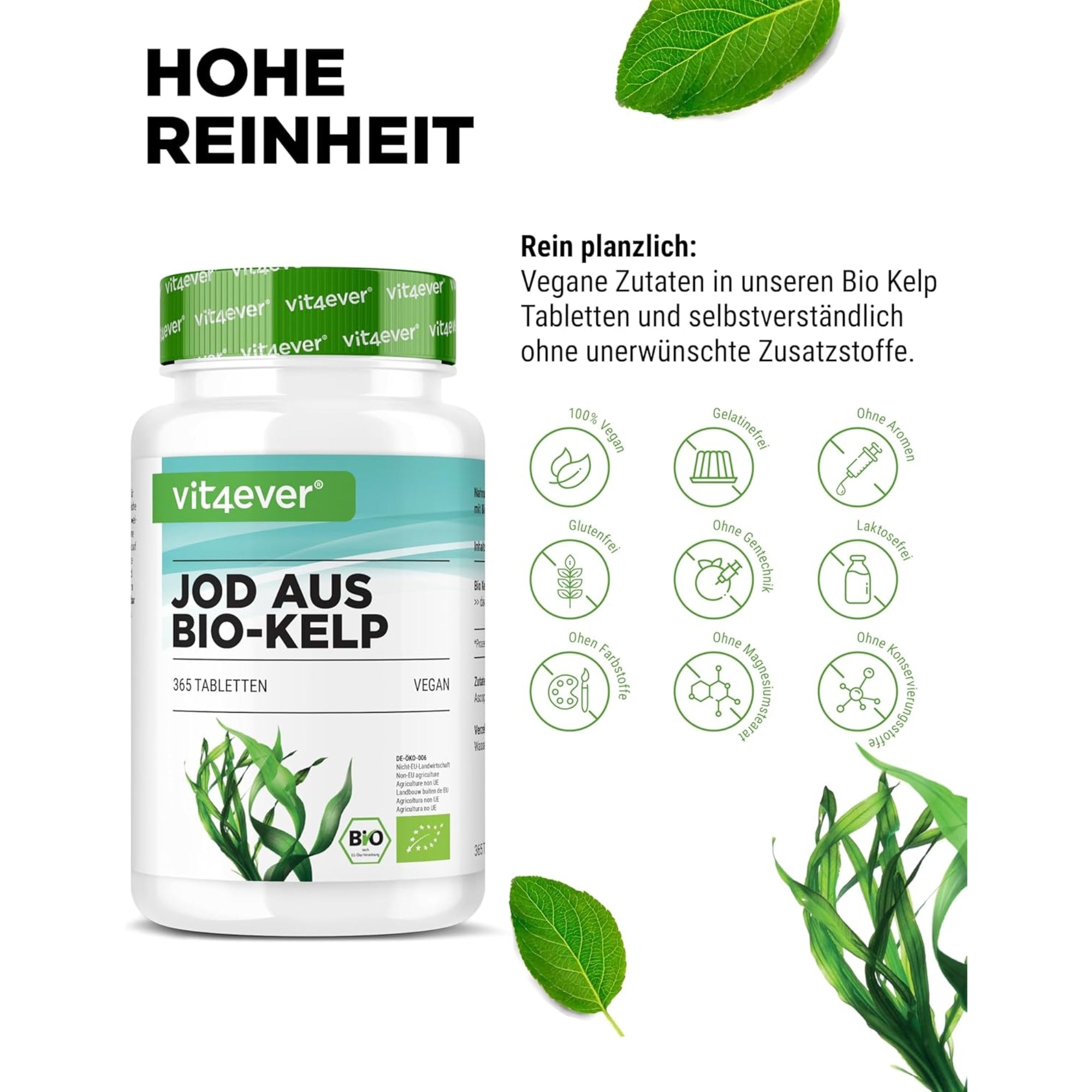 Biologische Kelp | Jodium | 200µg | 365 Tabletten | Vit4ever