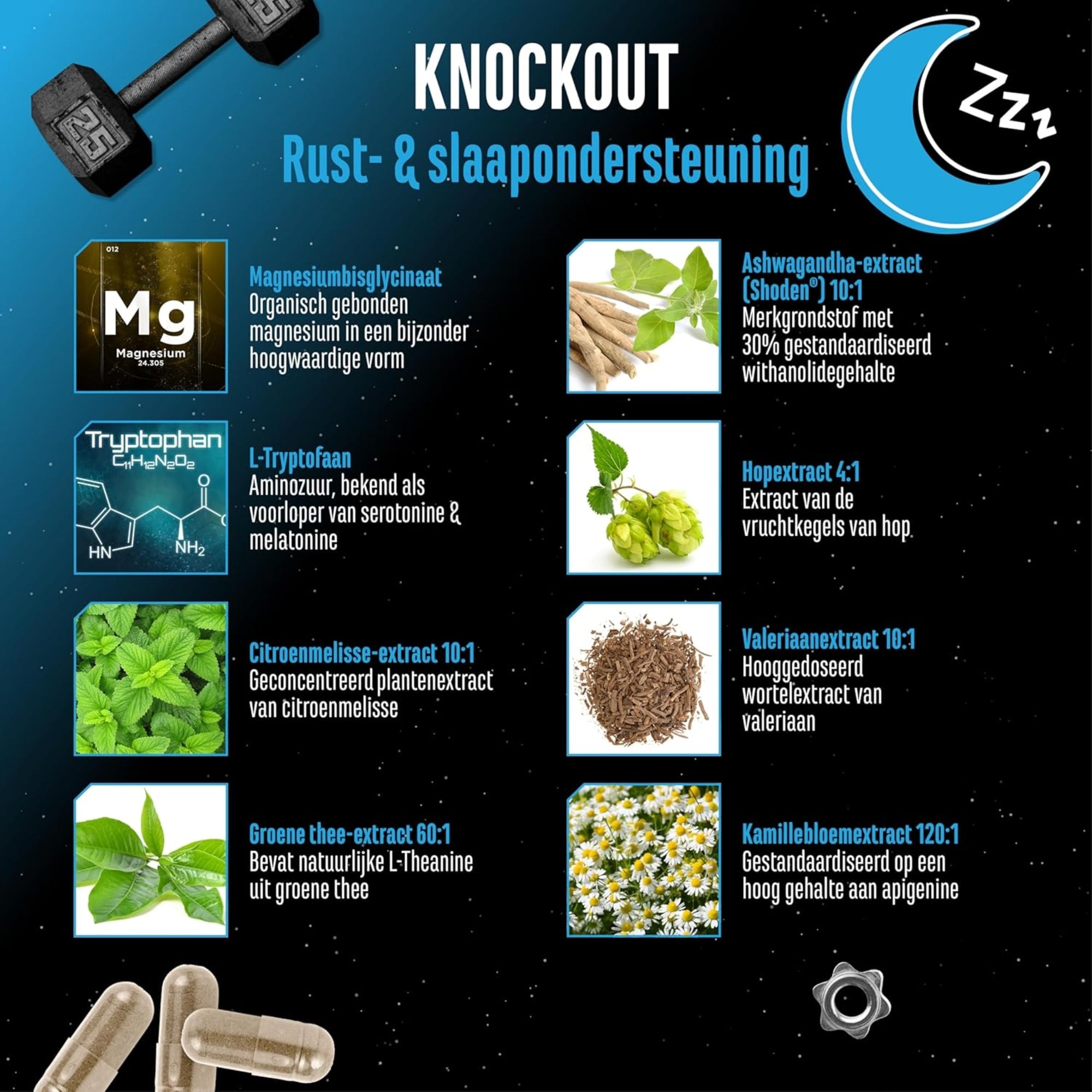 Knockout (Shoden®, Magnesium & Plantenextracten) | 120 capsules | German Elite Nutrition