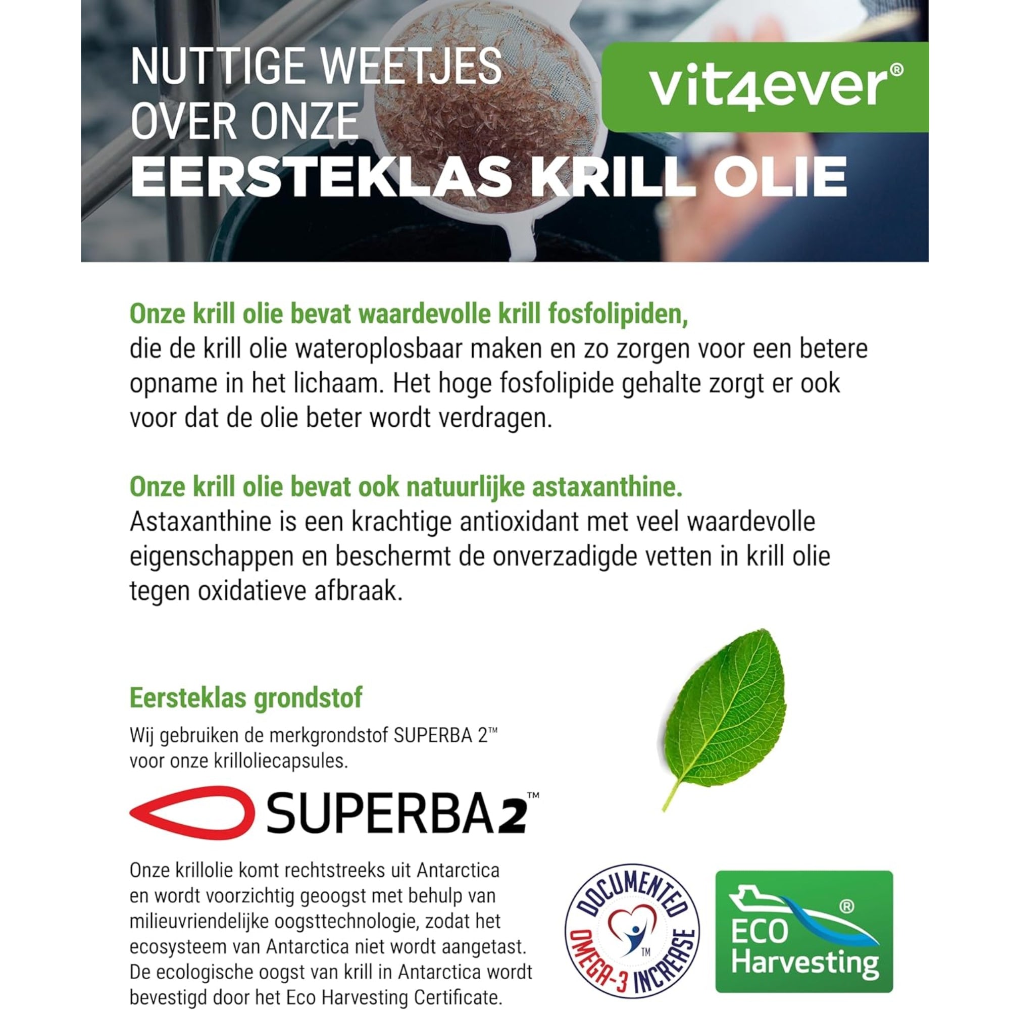 Krillolie met fosfolipiden, omega 3 & astaxanthine | 120 softgels | Vit4ever
