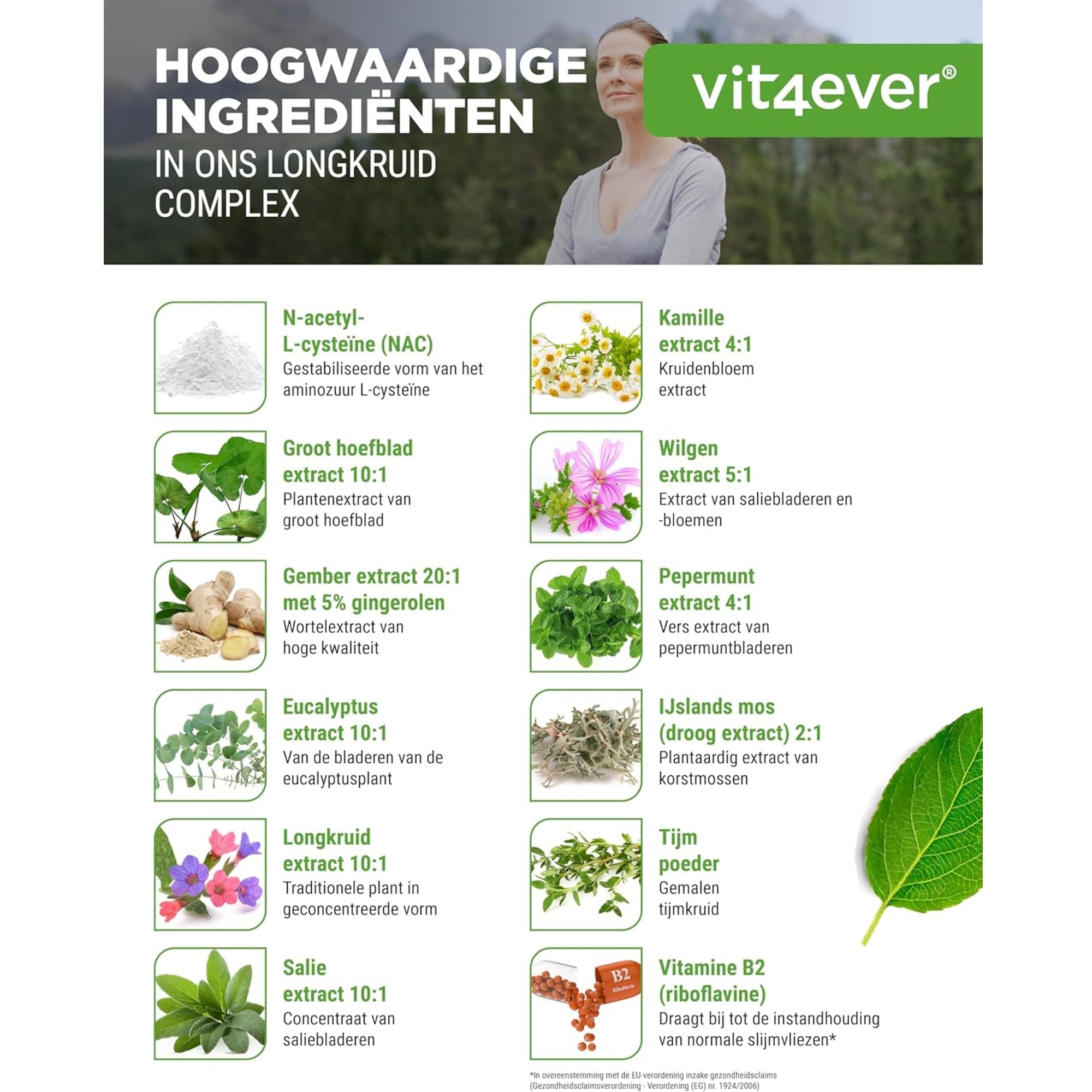 Longkruid Luchtwegencomplex met NAC & kruiden | 180 caps | Vit4ever