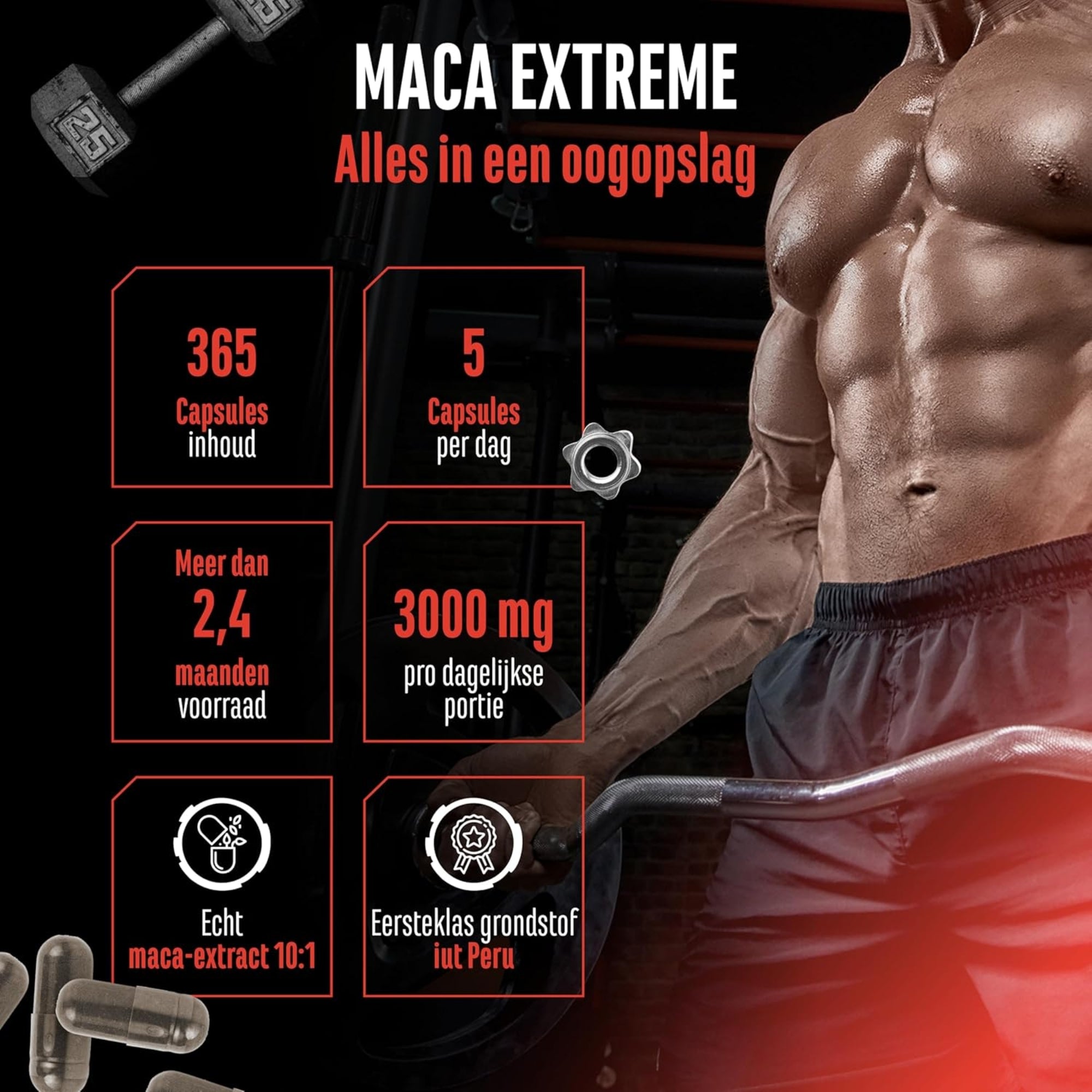 Maca Extreme (Maca Extract 10:1 600mg) | 365 capsules | German Elite Nutrition