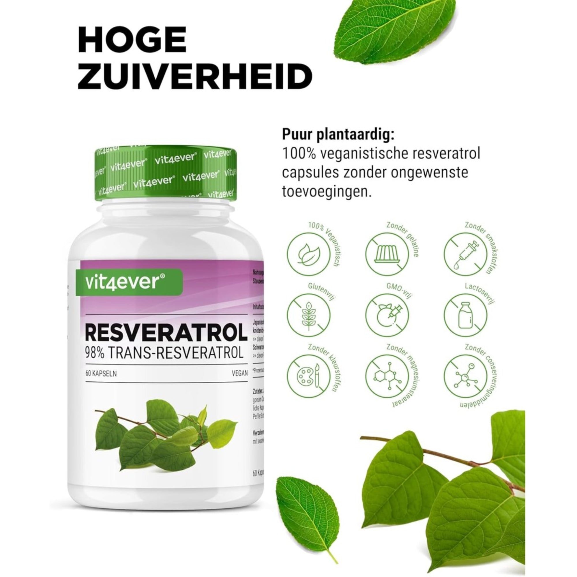 Resveratrol Intenso (98% trans-resveratrol) 500mg | 60 capsules | Vit4ever