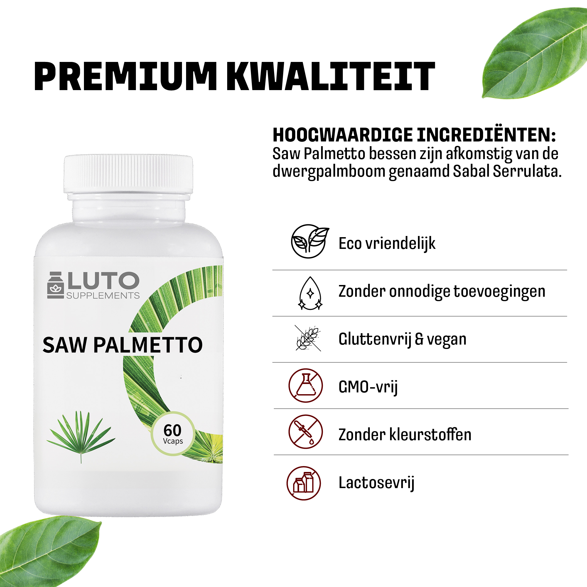 Saw Palmetto (Zaagpalm) + Zink | 60 plantaardige capsules | LUTO Supplements