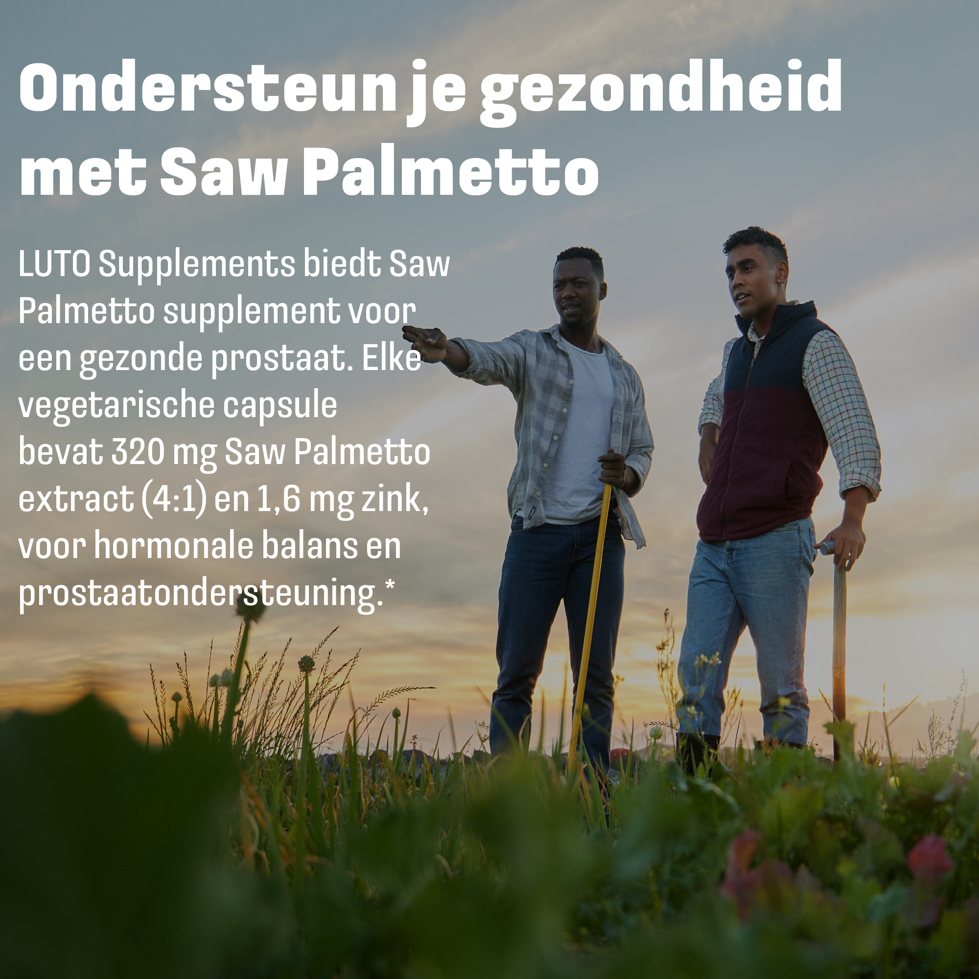 Saw Palmetto (Zaagpalm) + Zink | 60 plantaardige capsules | LUTO Supplements