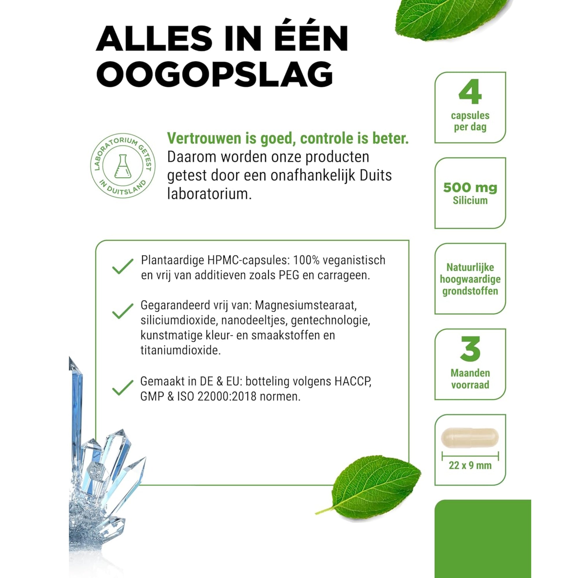 Silicium uit bamboe-extract 500mg | 365 capsules | Vit4ever