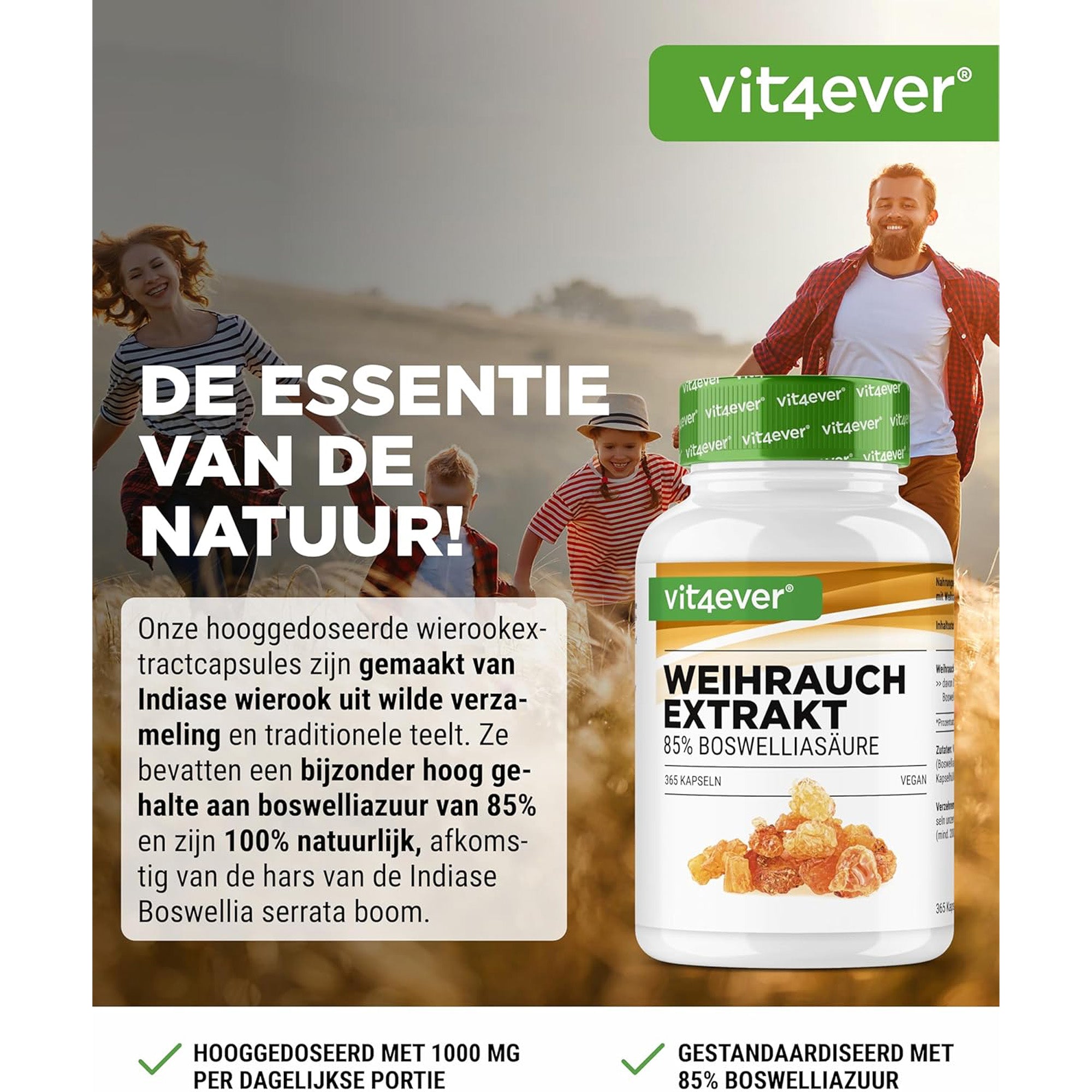 Indiase Boswellia Serrata (Boswellia serrata extract) 1000mg | 365 capsules | Vit4ever