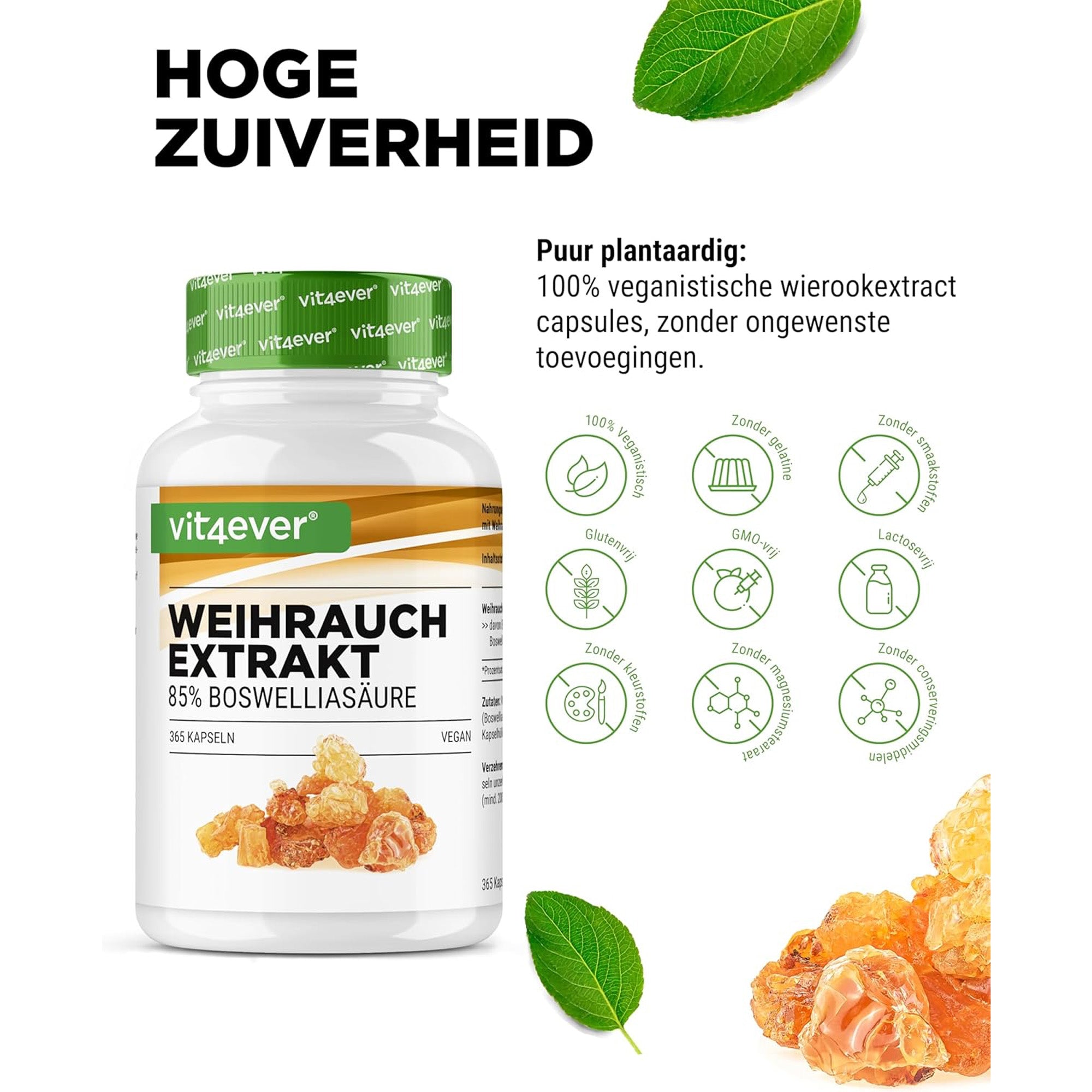 Indiase Boswellia Serrata (Boswellia serrata extract) 1000mg | 365 capsules | Vit4ever