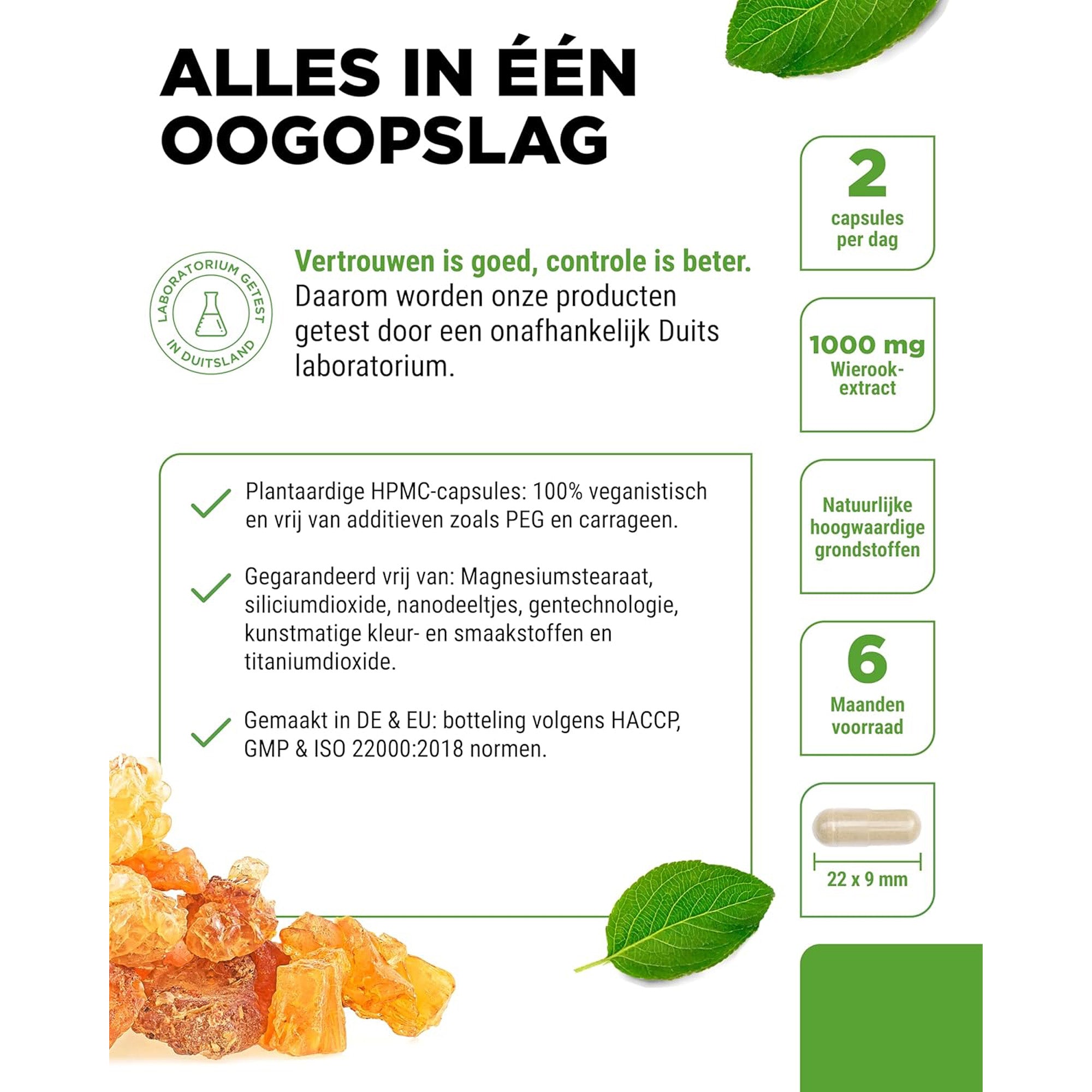 Indiase Boswellia Serrata (Boswellia serrata extract) 1000mg | 365 capsules | Vit4ever