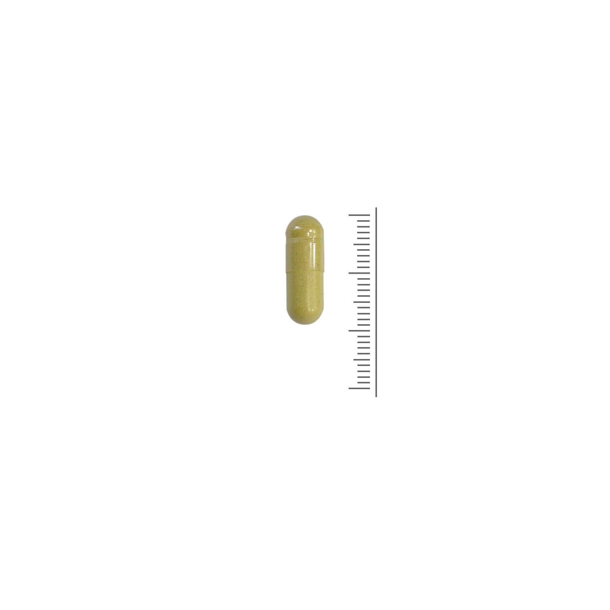 Quercetine | 500mg | 60 Vege Capsules | 2 maanden voorraad | Natuurlijk uit Japanse honingboombloesem | Premium kwaliteit | Luto Supplements