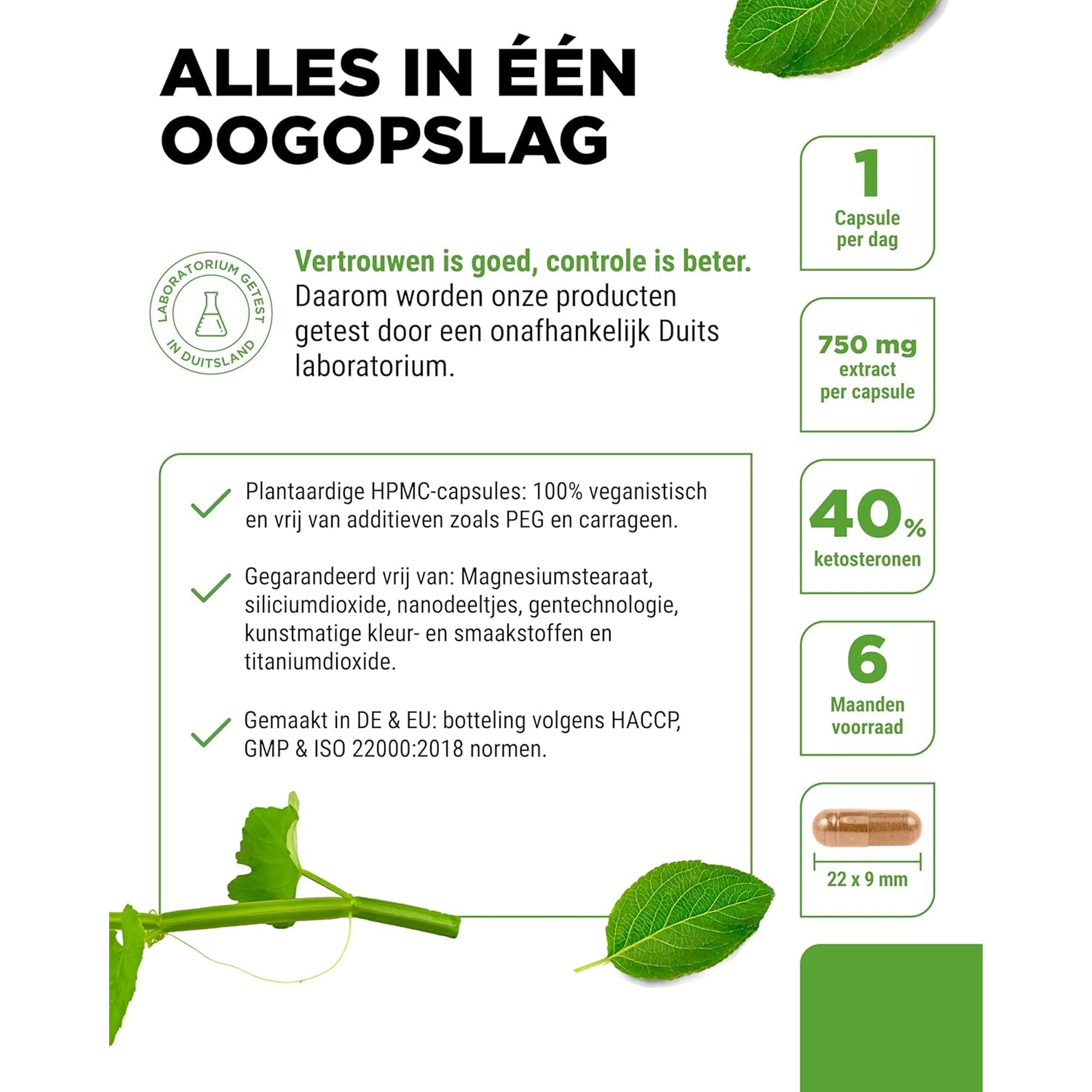 Vit4ever Cissus Quadrangularis vegan capsules zonder toevoegingen