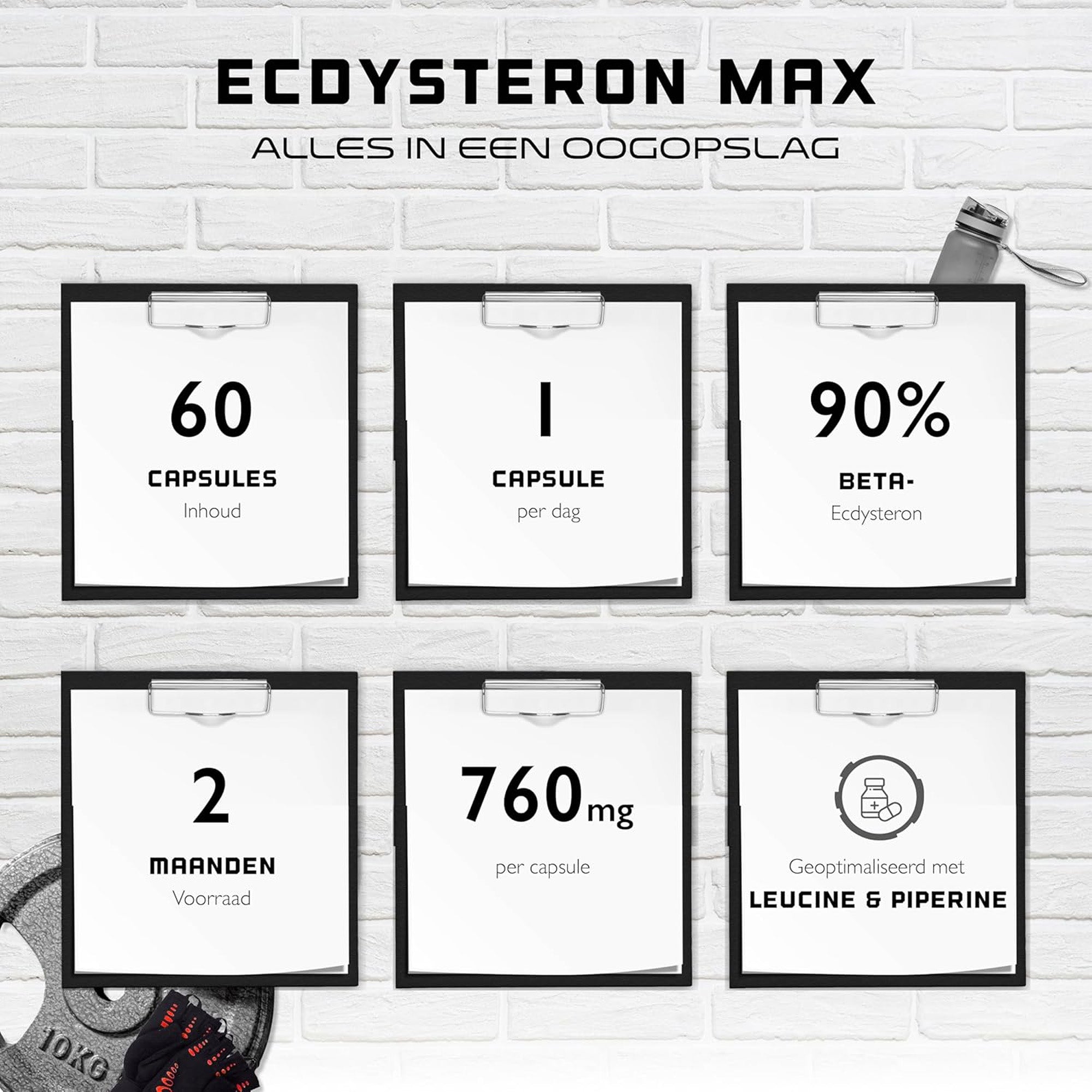 Infographic met voordelen van Ecdysterone Max supplement.