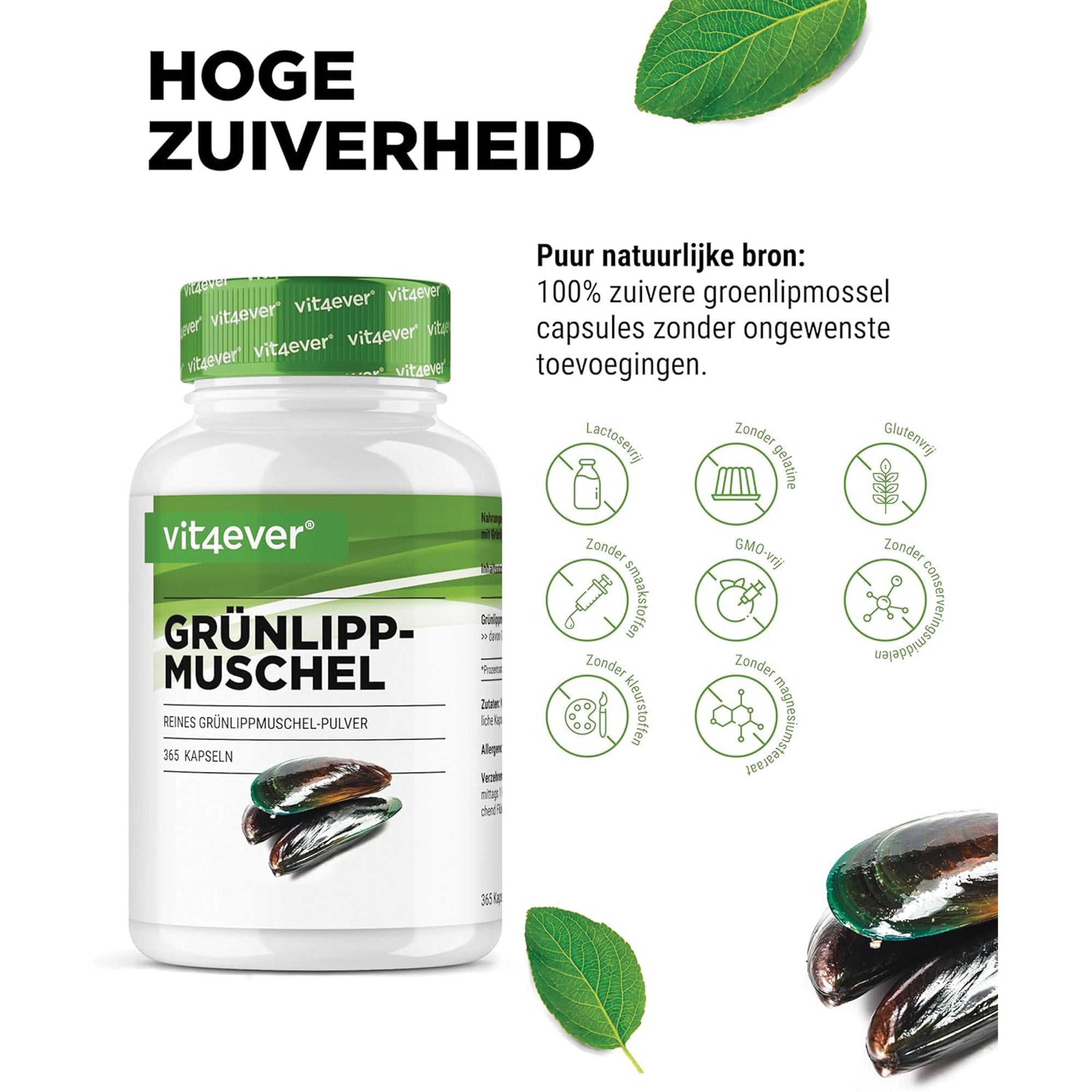Groenlipmossel 600mg | 365 capsules | Vit4ever