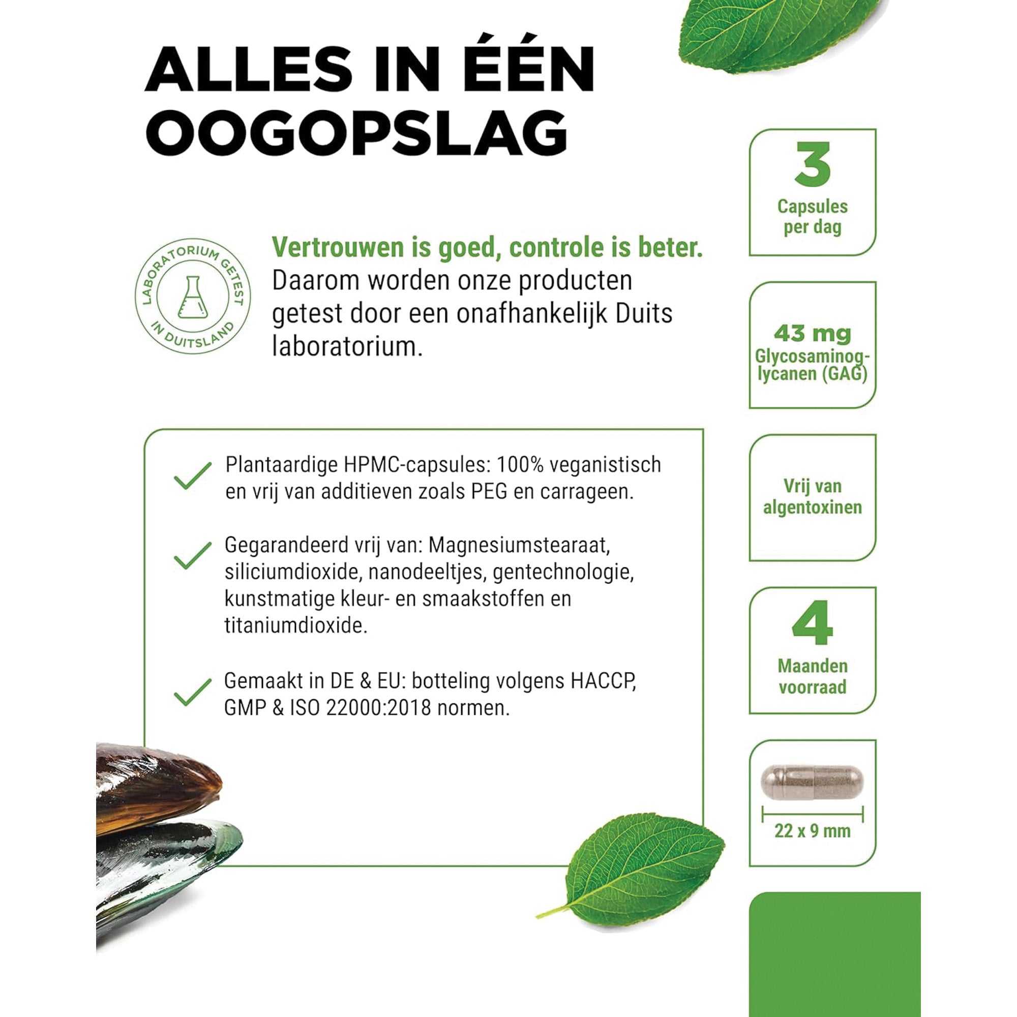 Groenlipmossel 600mg | 365 capsules | Vit4ever