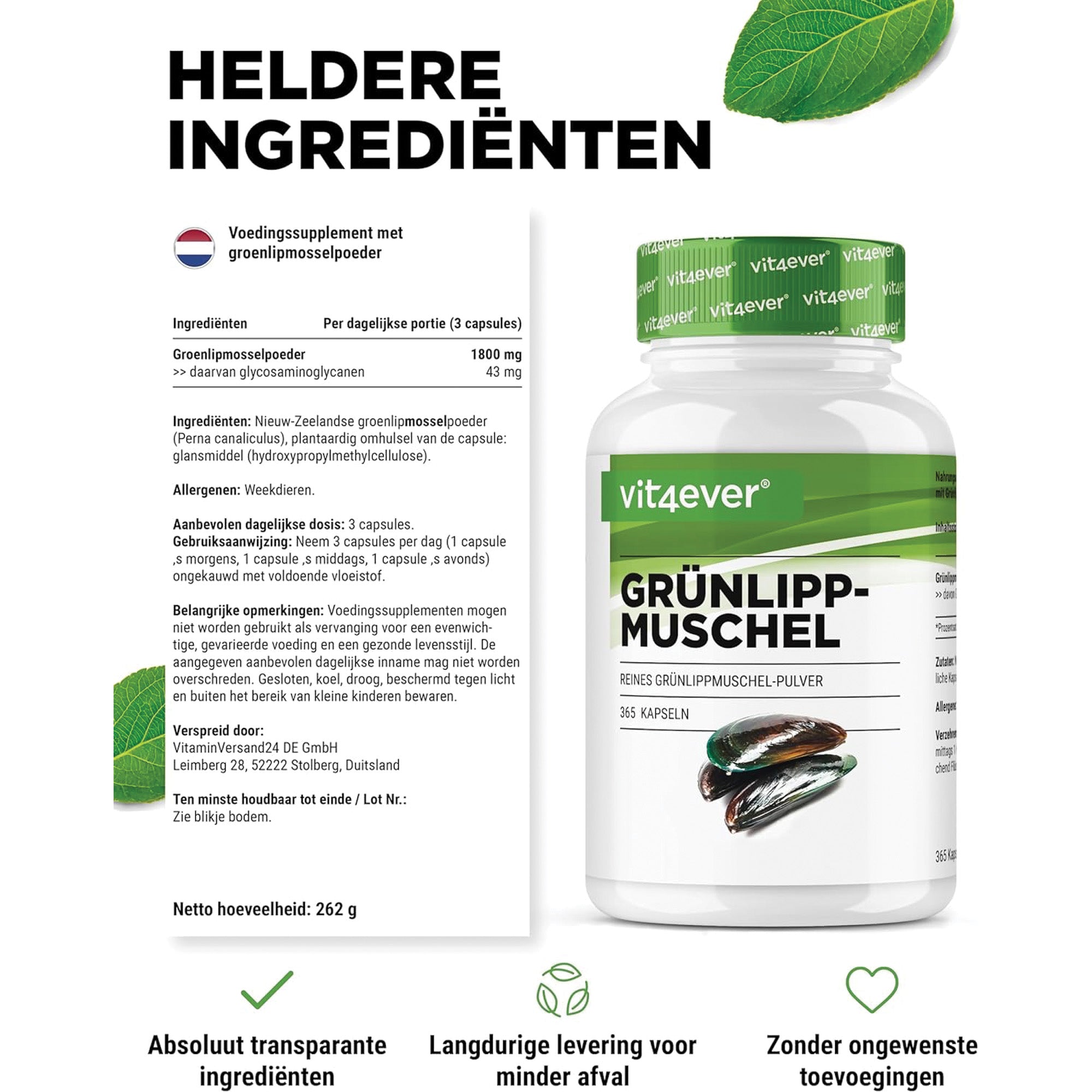 Groenlipmossel 600mg | 365 capsules | Vit4ever