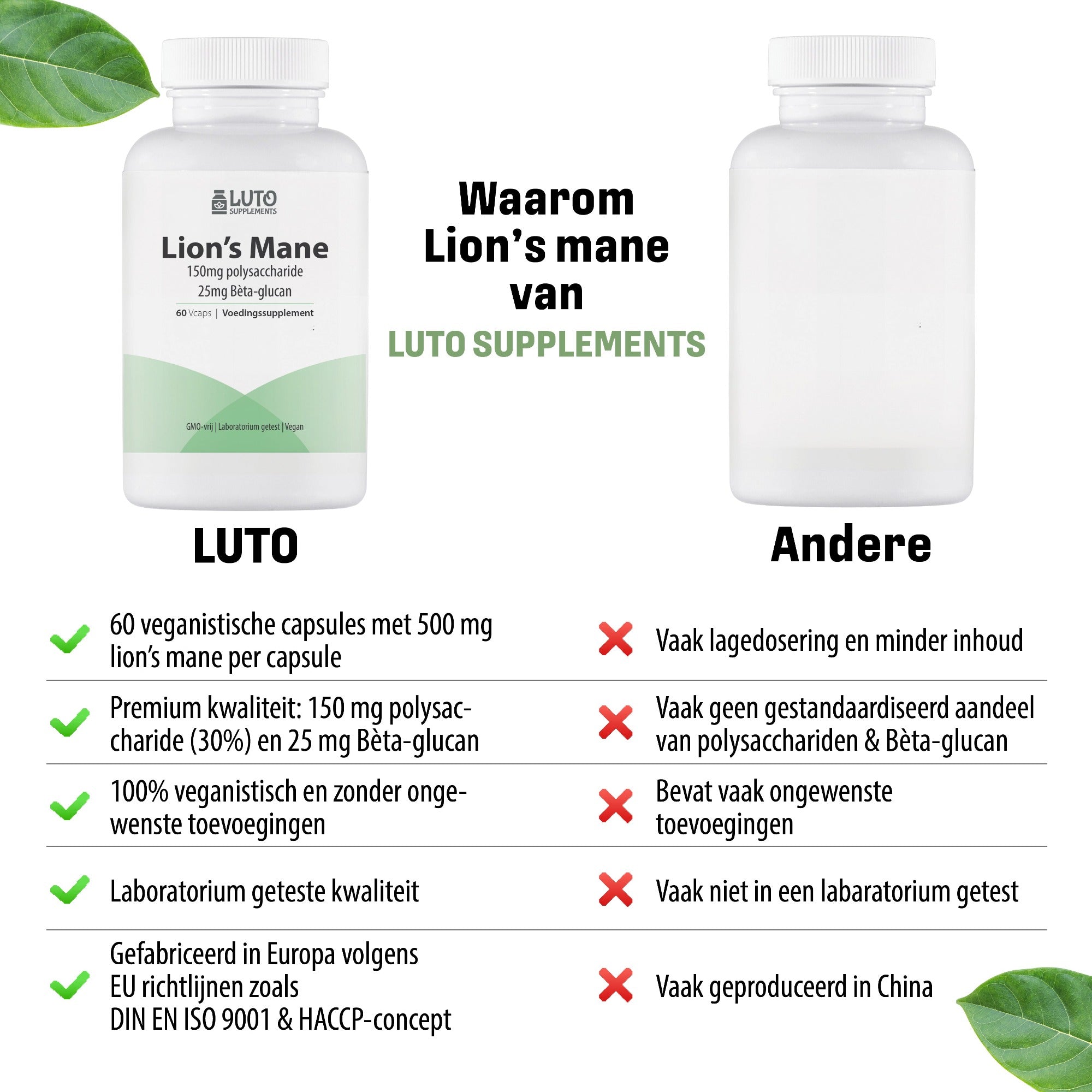 lions mane supplement kopen.