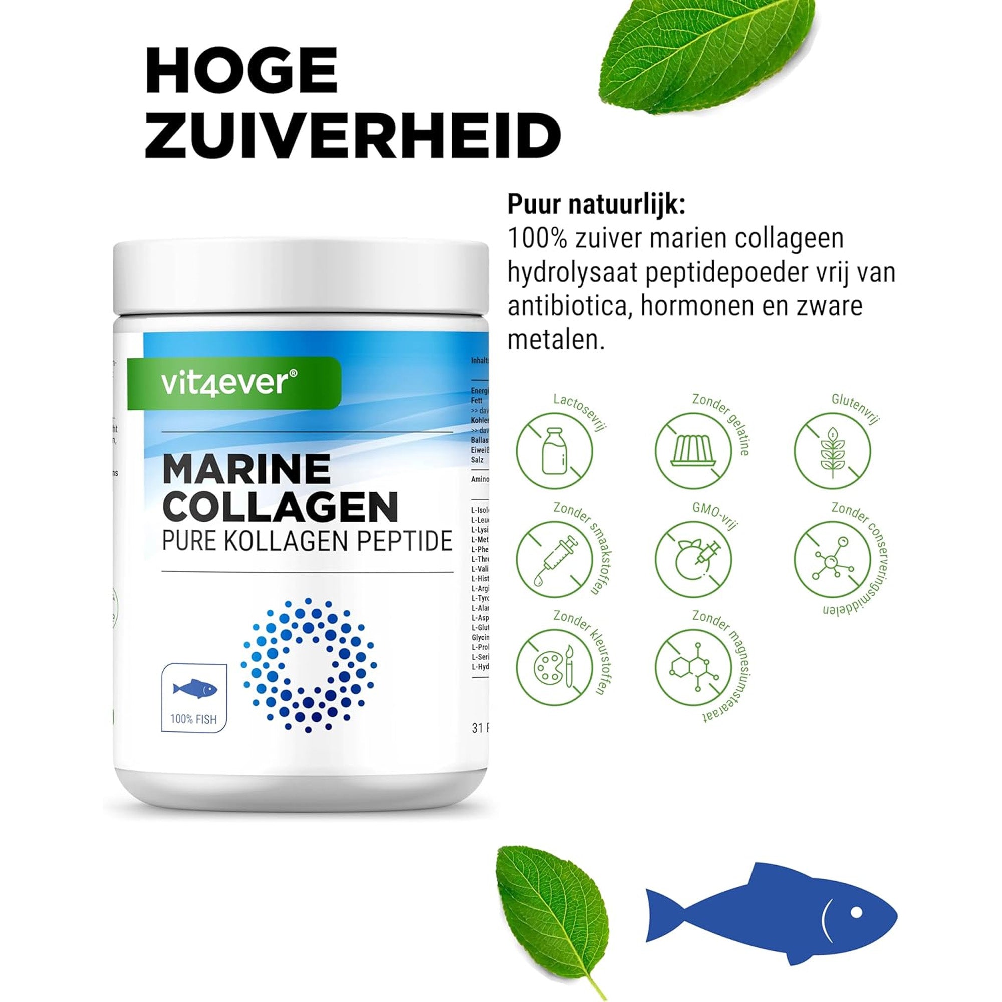 Marine Collageen Poeder (Hydrolyse Vis Collageen Peptiden) | 31 porties | Vit4ever