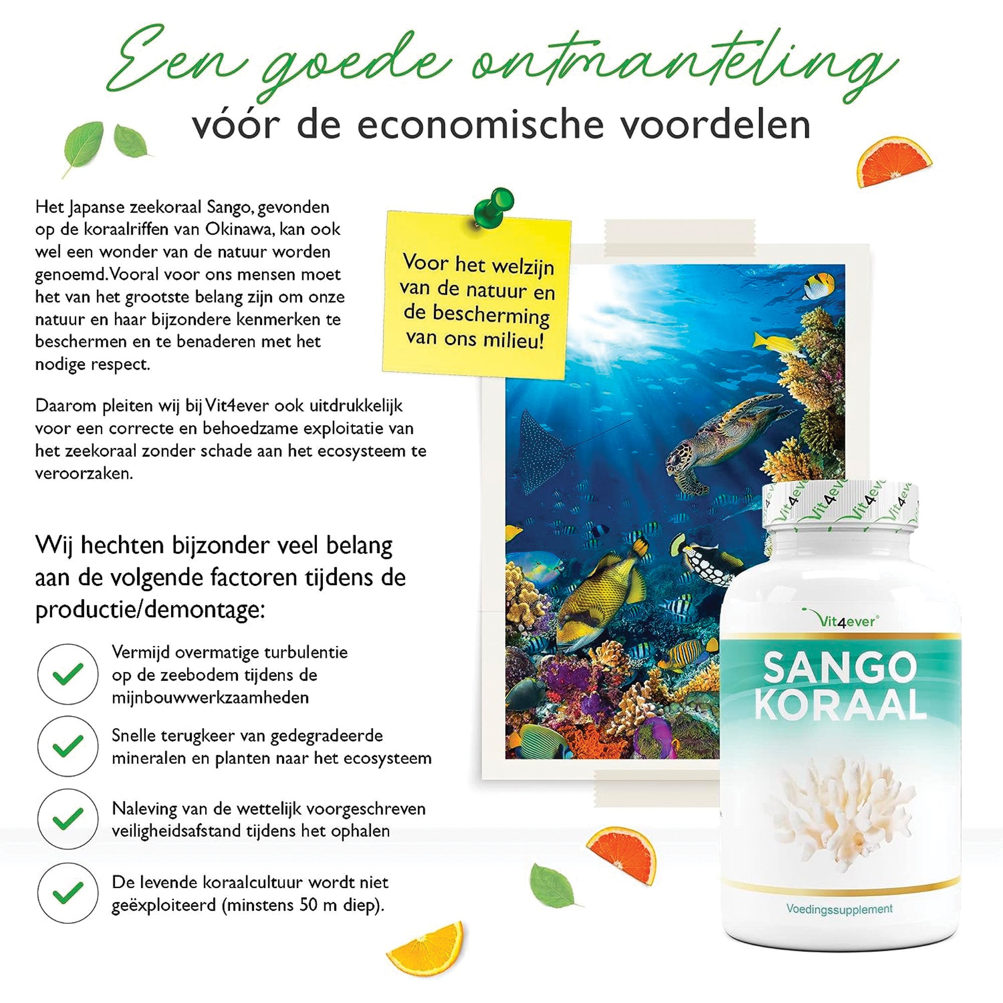 Sango Zeekoraal | 180 capsules (2 maanden) | Natuurlijke bron van calcium (20%) & magnesium (10%) | Vit4ever
