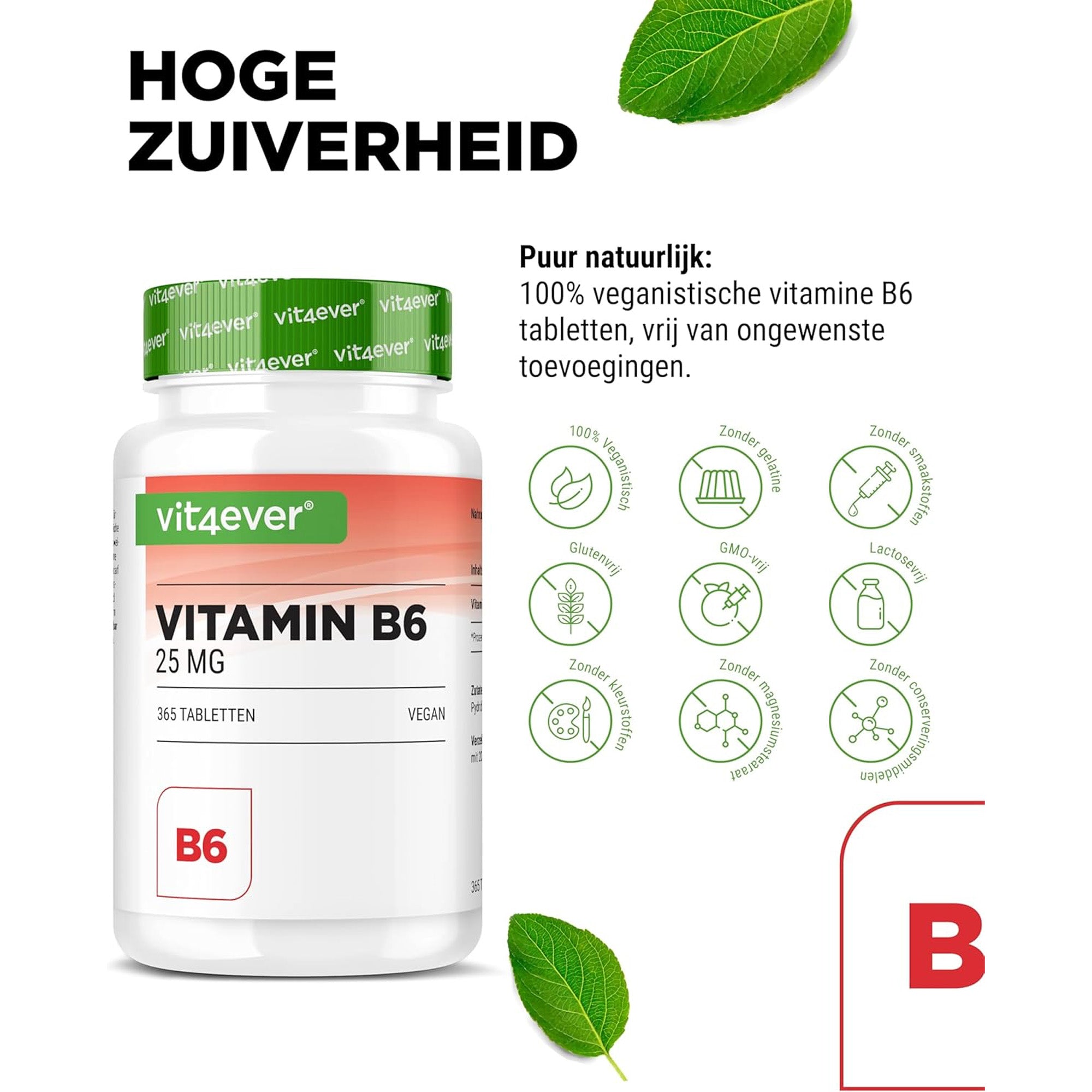 Vitamine B6 25mg | 365 tabletten | Vit4ever