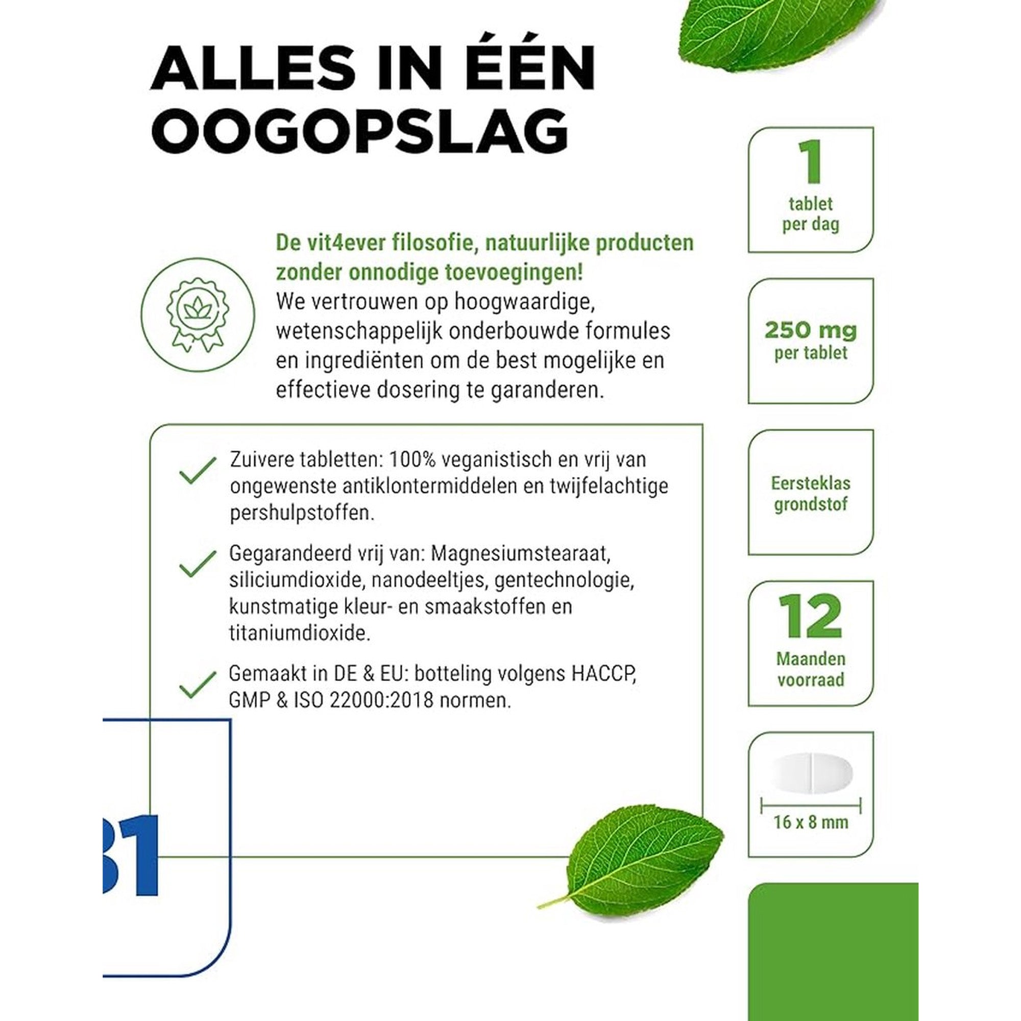 Vitamine B1 (Thiamine) 250mg | 365 Tabletten | Vit4ever