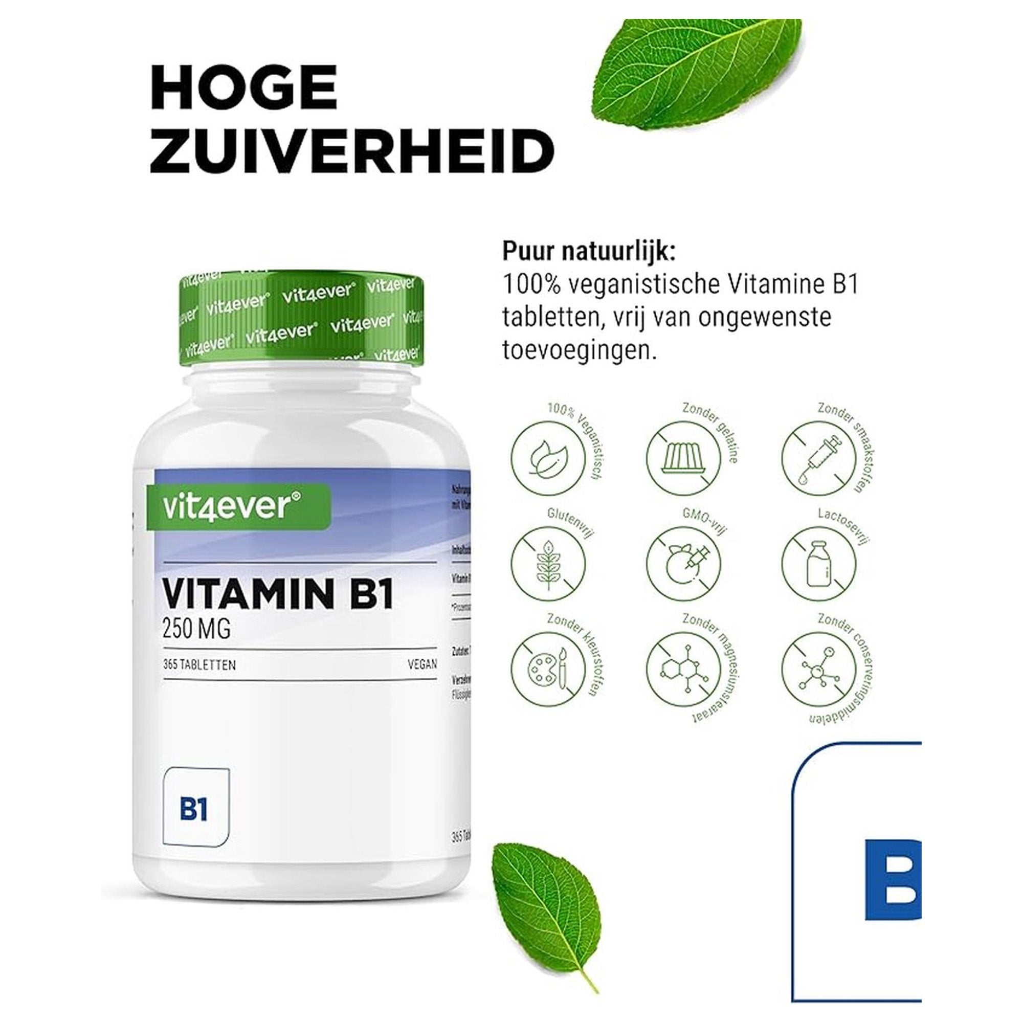 Vitamine B1 (Thiamine) 250 mg | 365 tabletten | Vit4ever