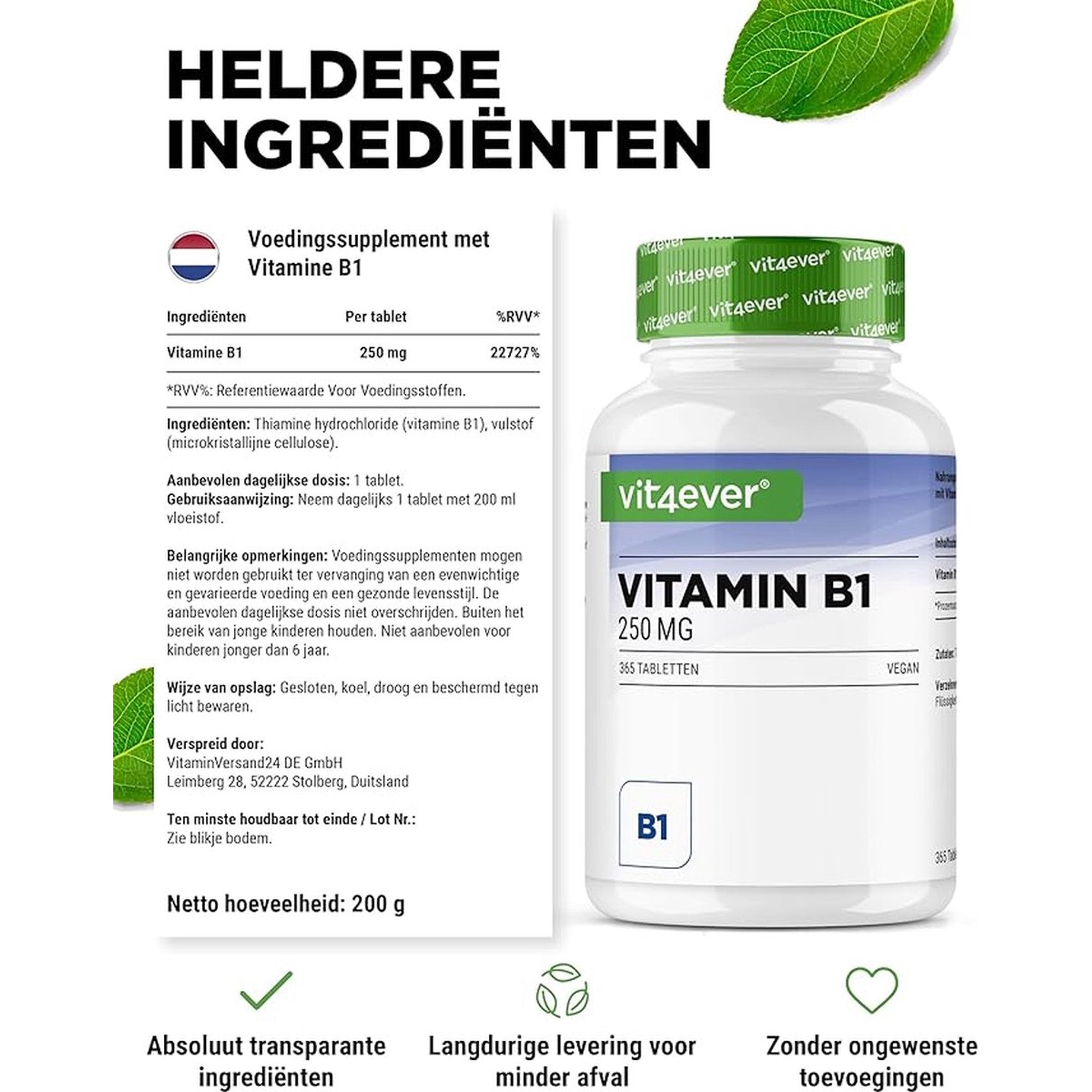 Vitamine B1 (Thiamine) 250 mg | 365 tabletten | Vit4ever