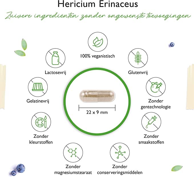 Vegan Lion's mane van vit4ever